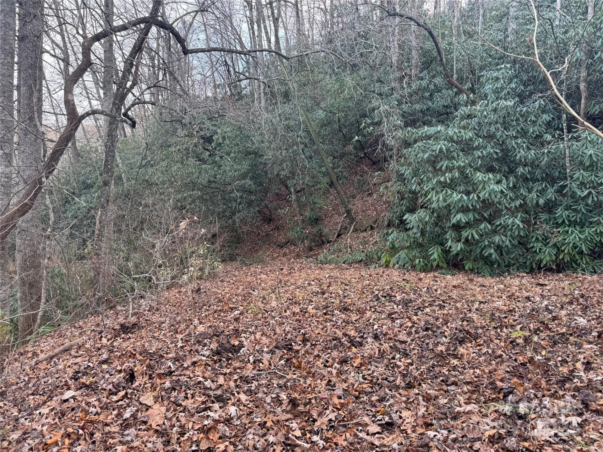 2664 NC Hwy 9 Highway - Photo 3