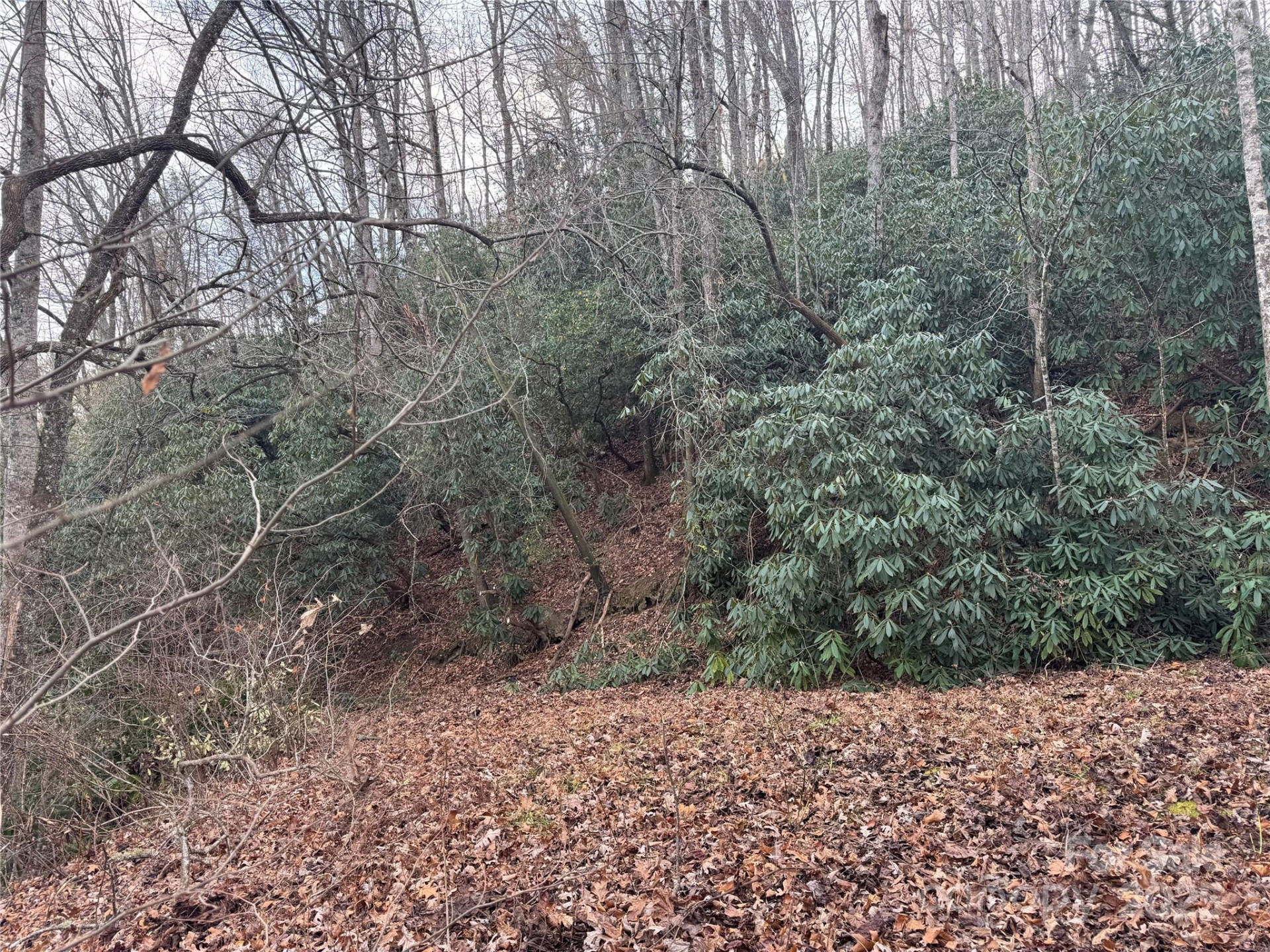 2664 NC Hwy 9 Highway - Photo 4