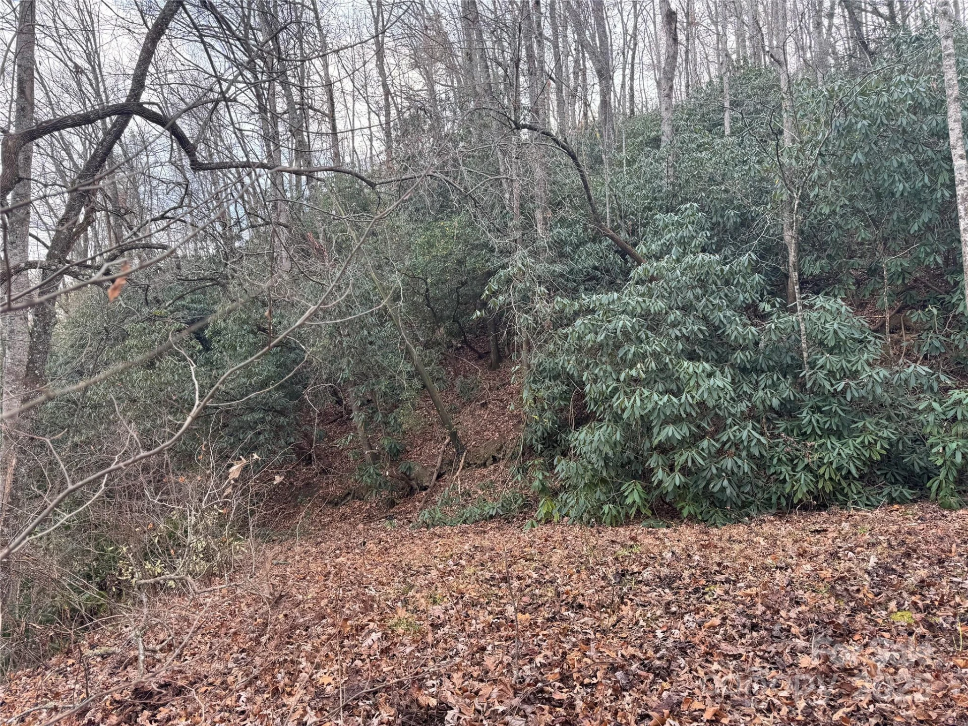 2664 NC Hwy 9 Highway - Photo 4