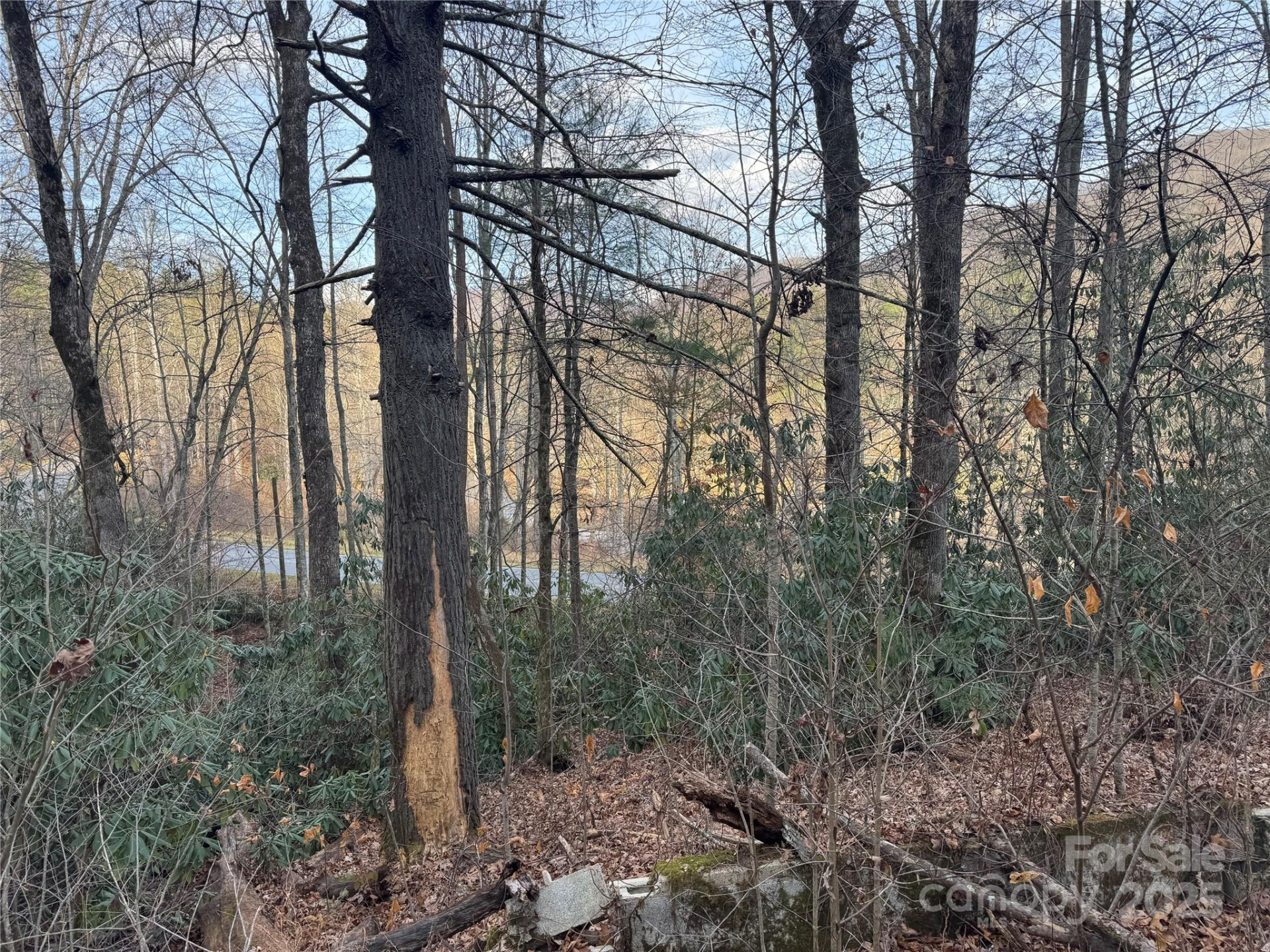 2664 NC Hwy 9 Highway - Photo 5