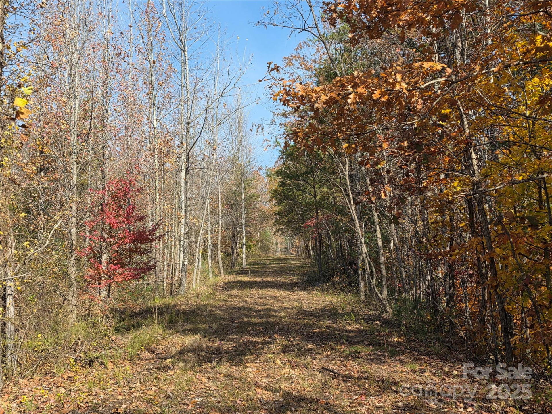 00 Hwy 221 Highway - Photo 11