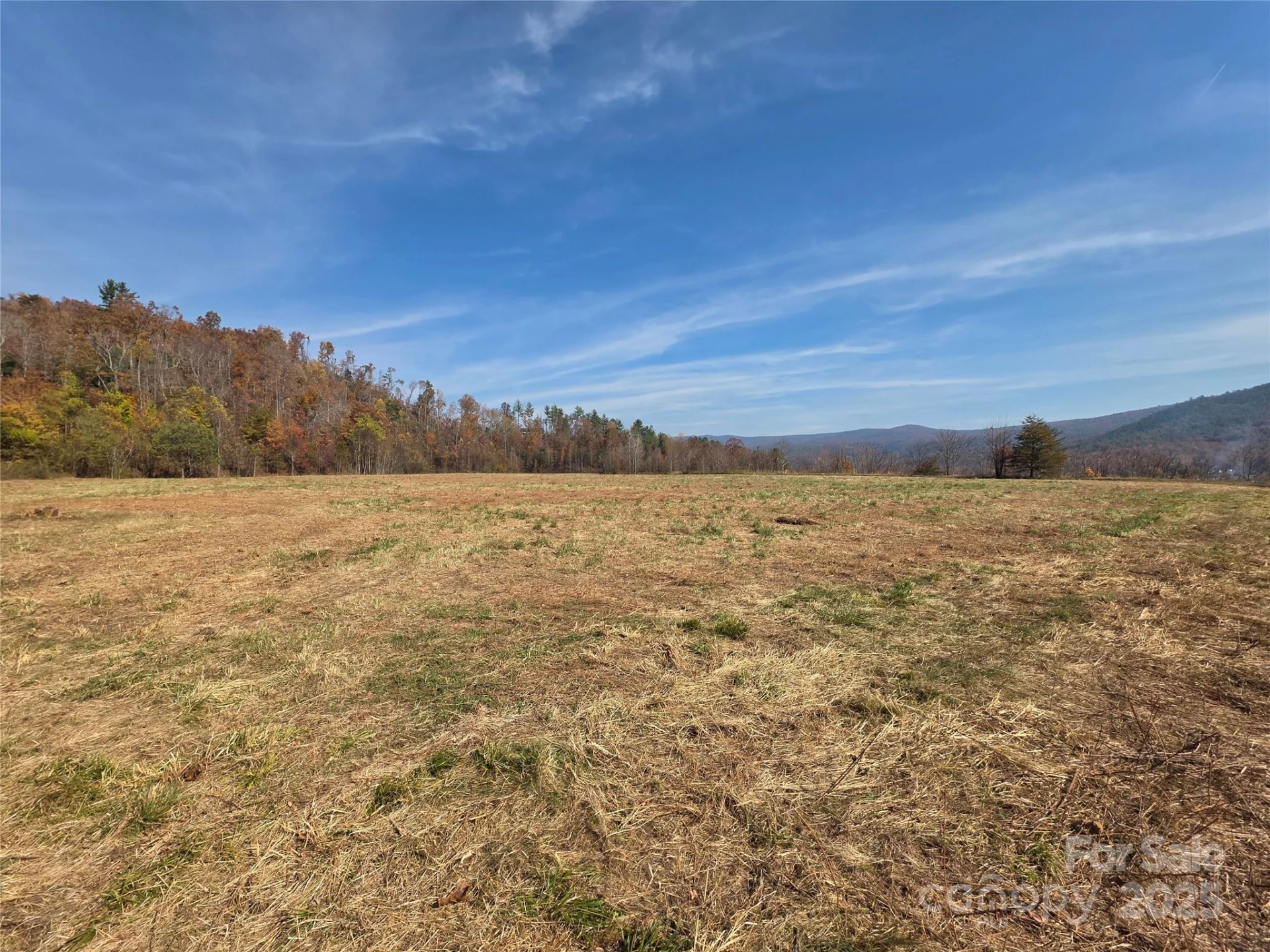 00 Hwy 221 Highway - Photo 12