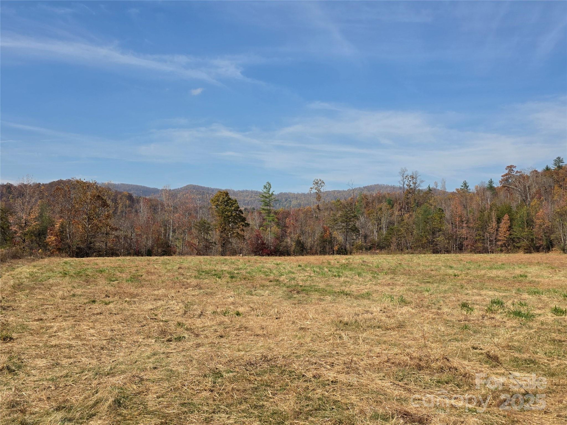 00 Hwy 221 Highway - Photo 13