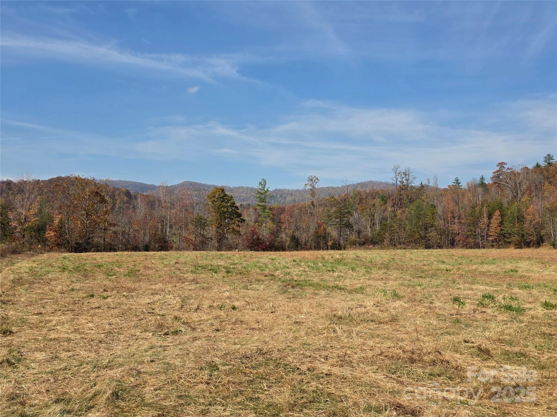 00 Hwy 221 Highway - Photo 13