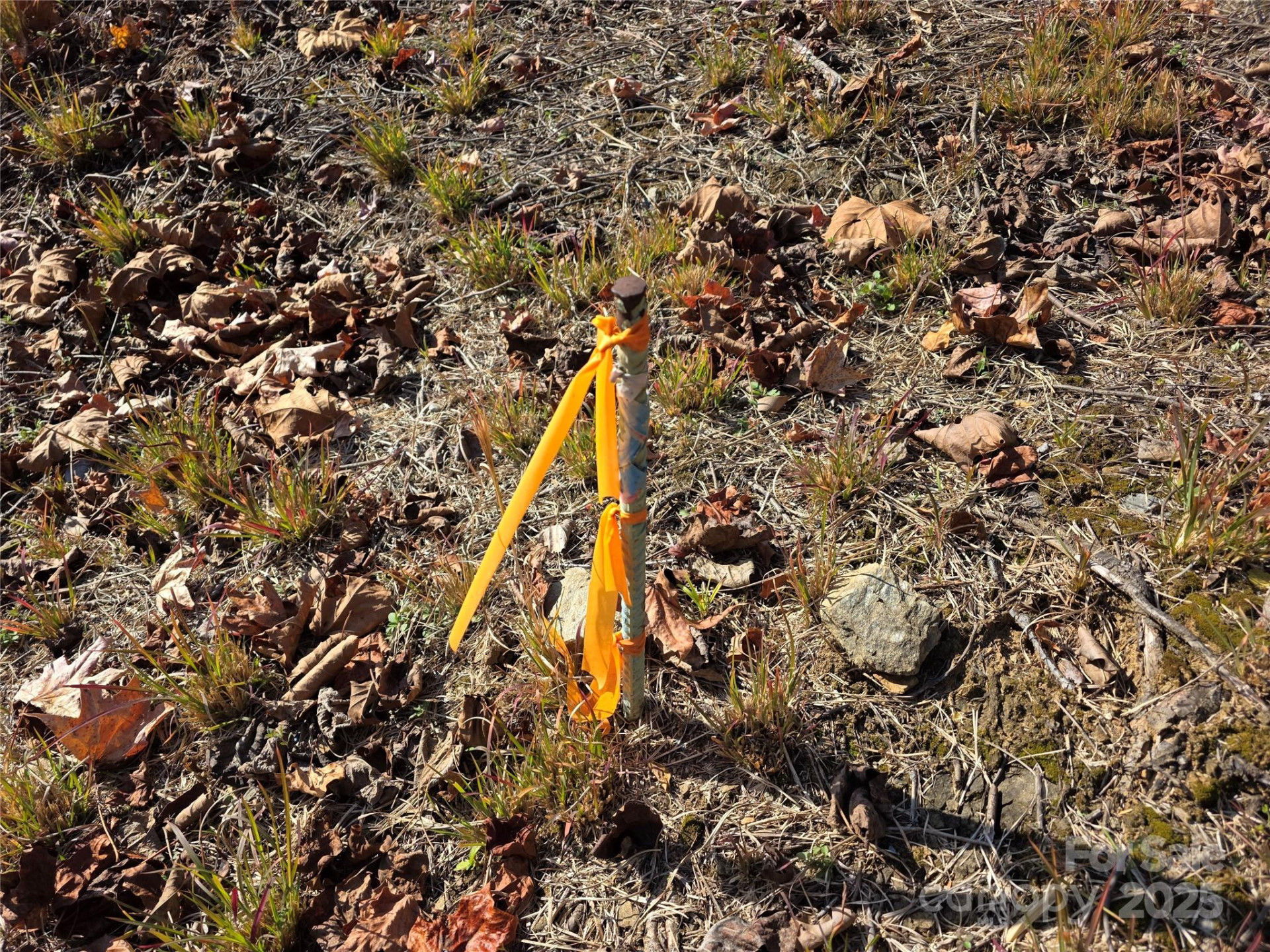 00 Hwy 221 Highway - Photo 15