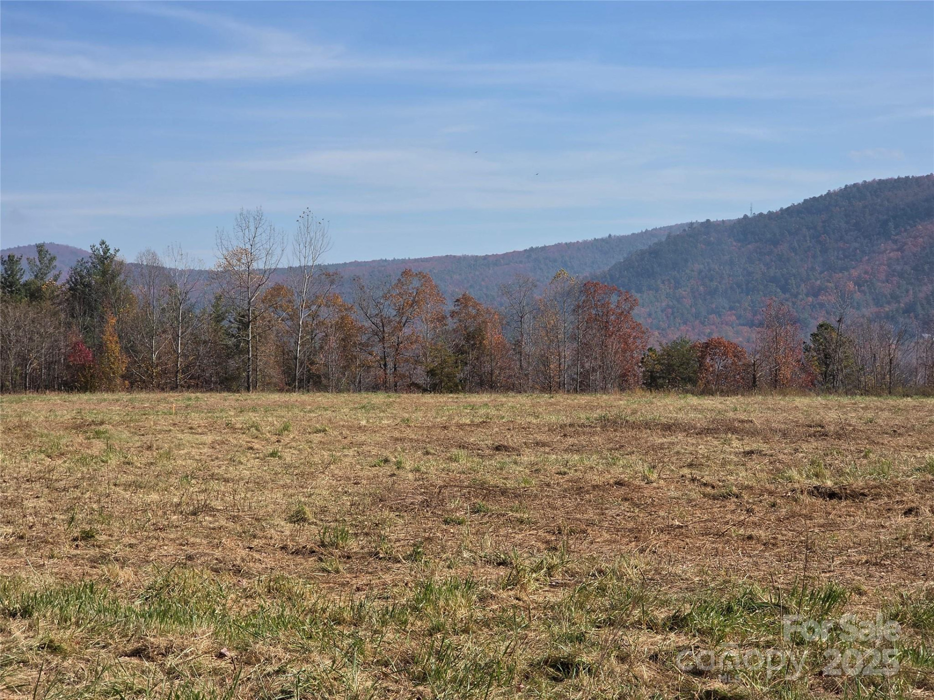 00 Hwy 221 Highway - Photo 8