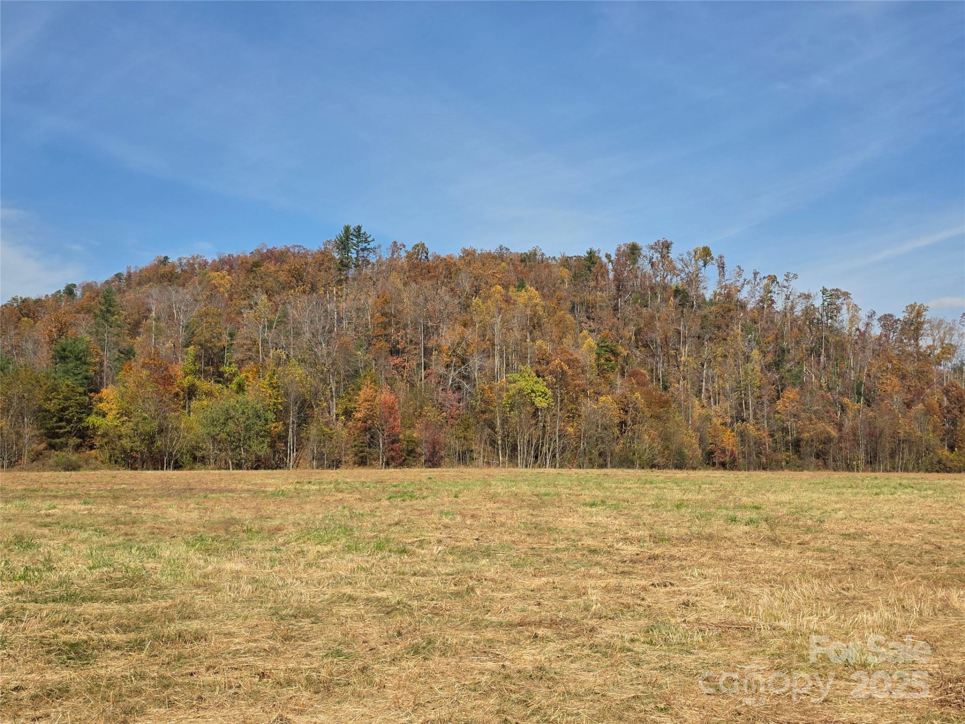 00 Hwy 221 Highway - Photo 9