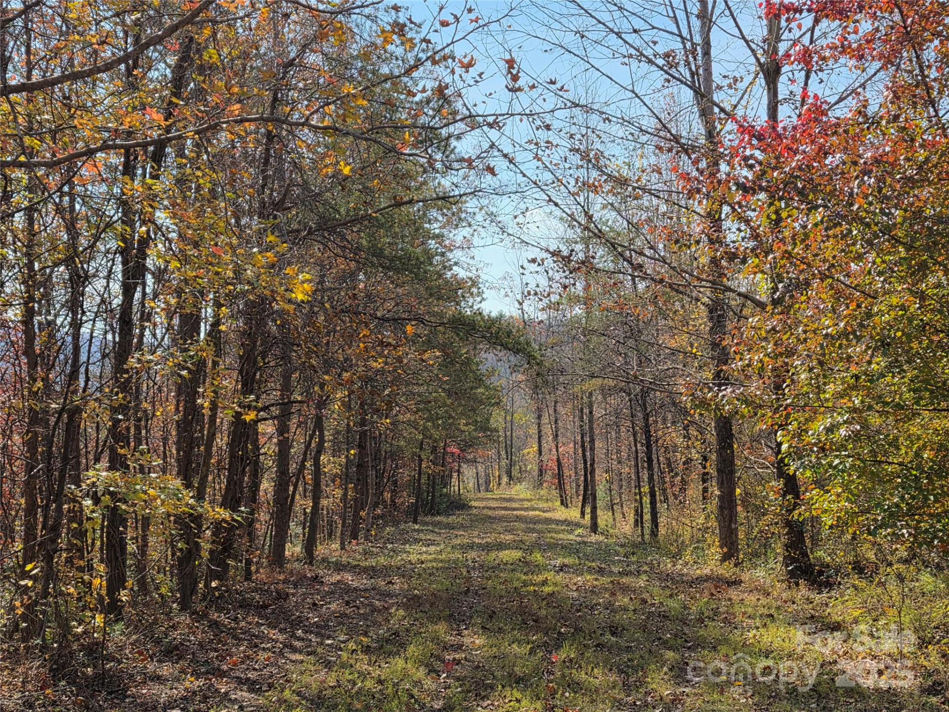 00 Hwy 221 Highway - Photo 10