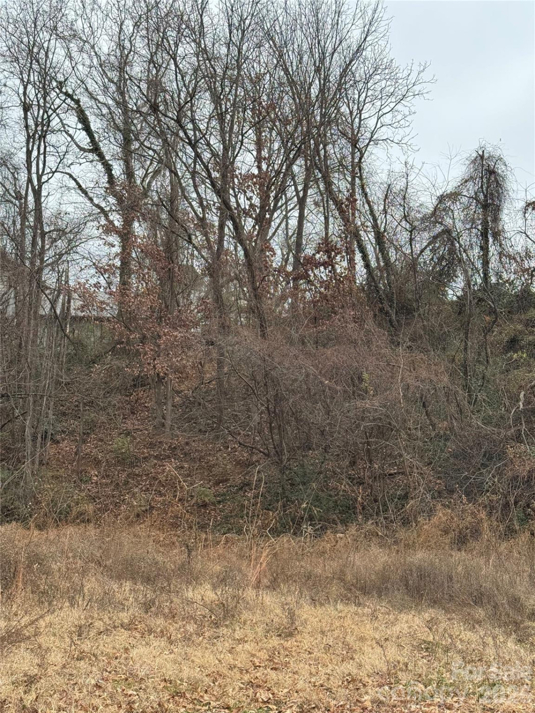 17 Green Street - Photo 5