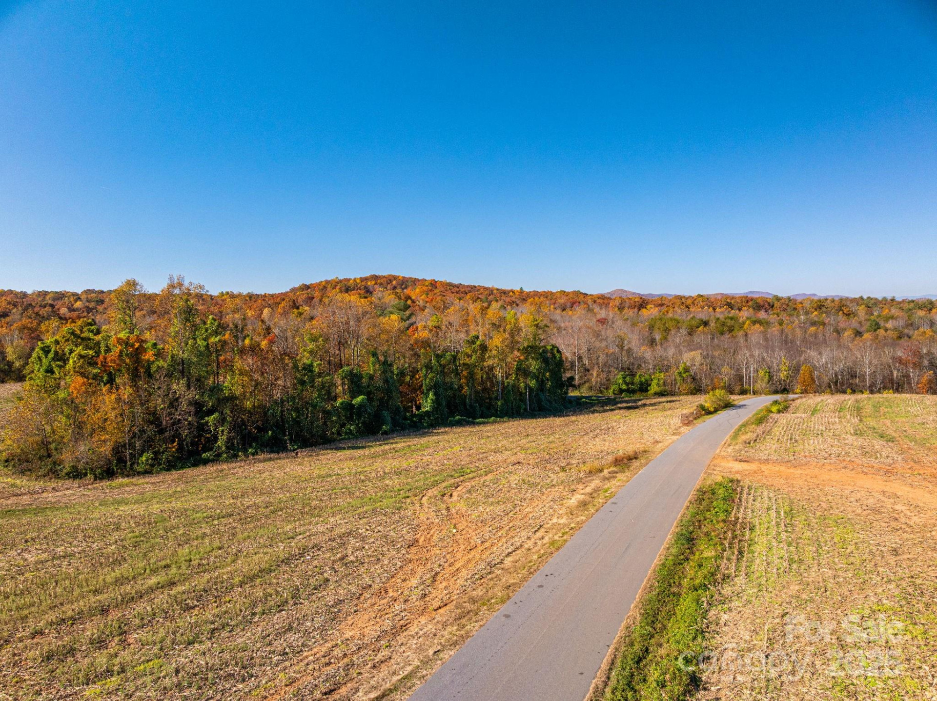 000 NC Highway 18 None - Photo 11