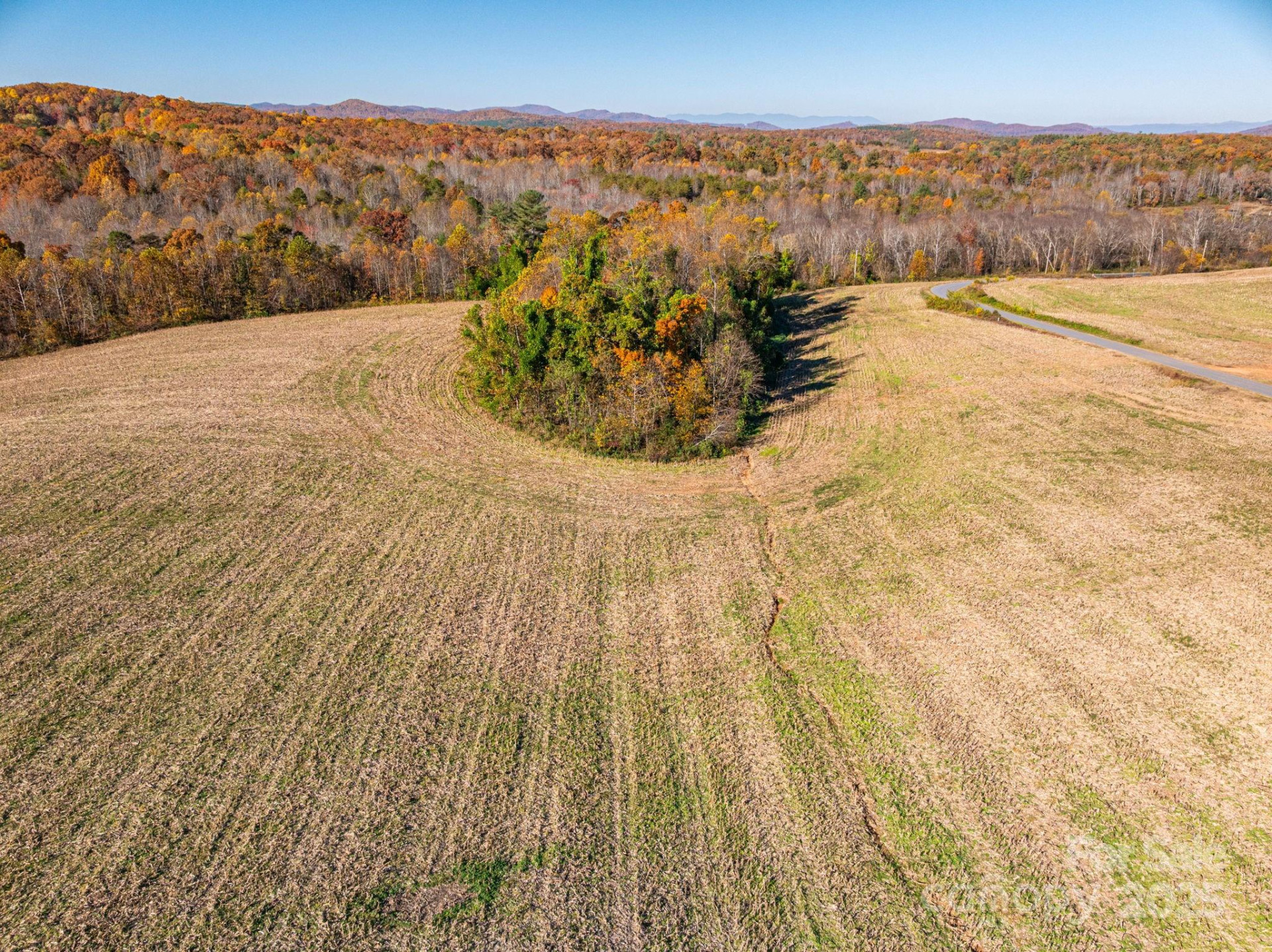 000 NC Highway 18 None - Photo 12