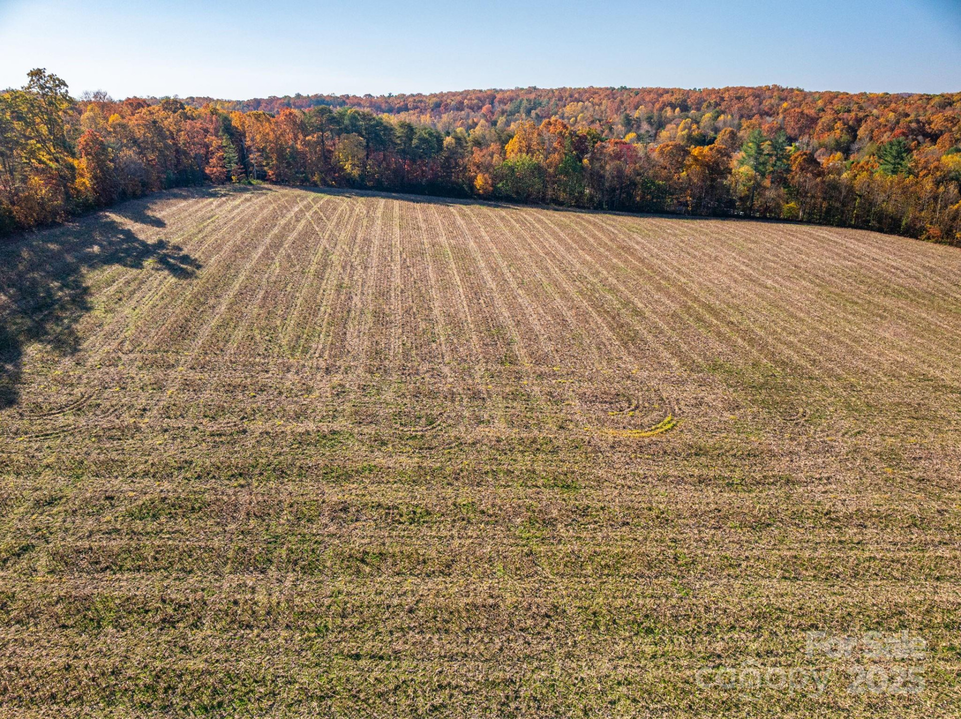 000 NC Highway 18 None - Photo 13