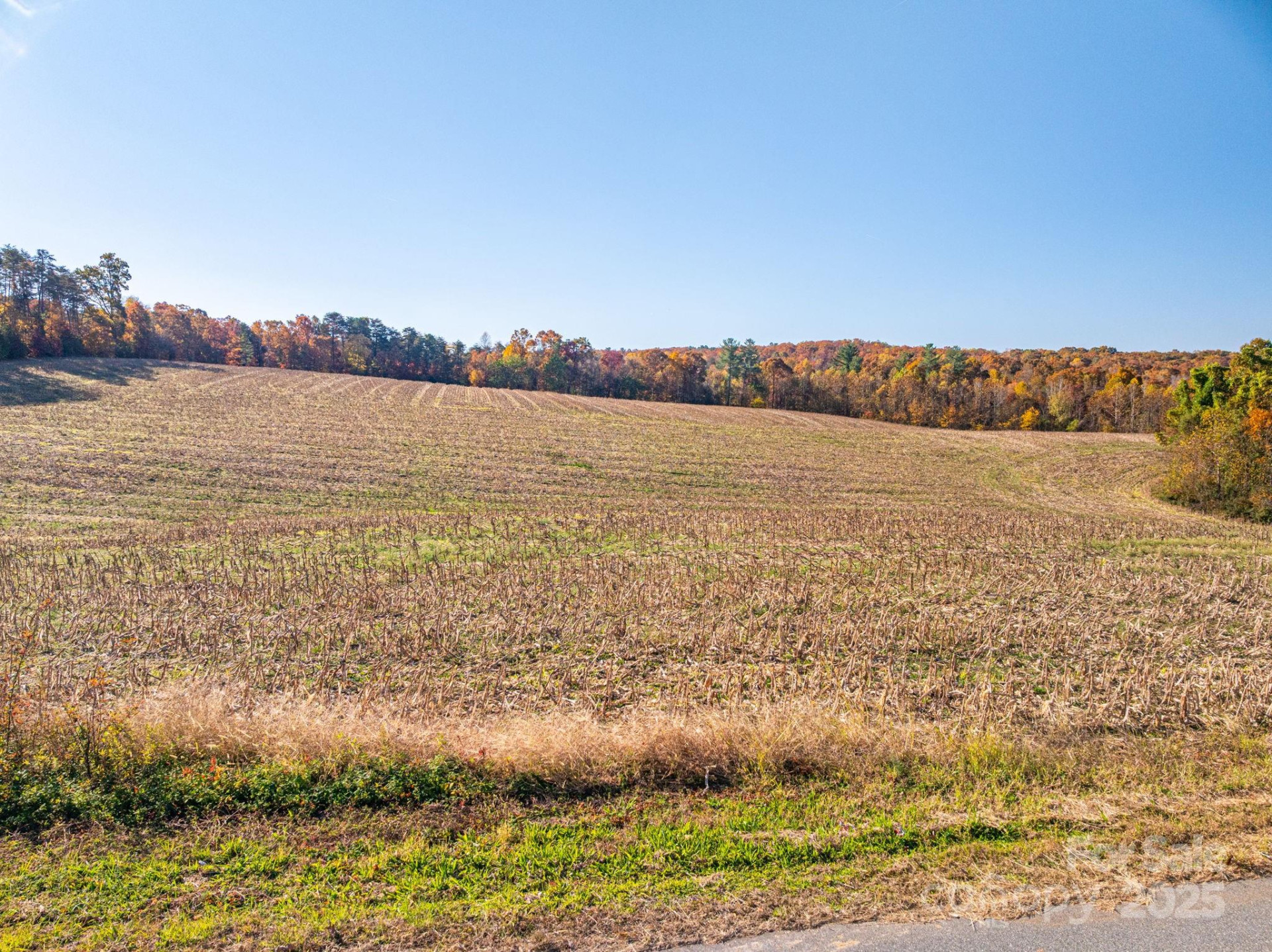 000 NC Highway 18 None - Photo 14
