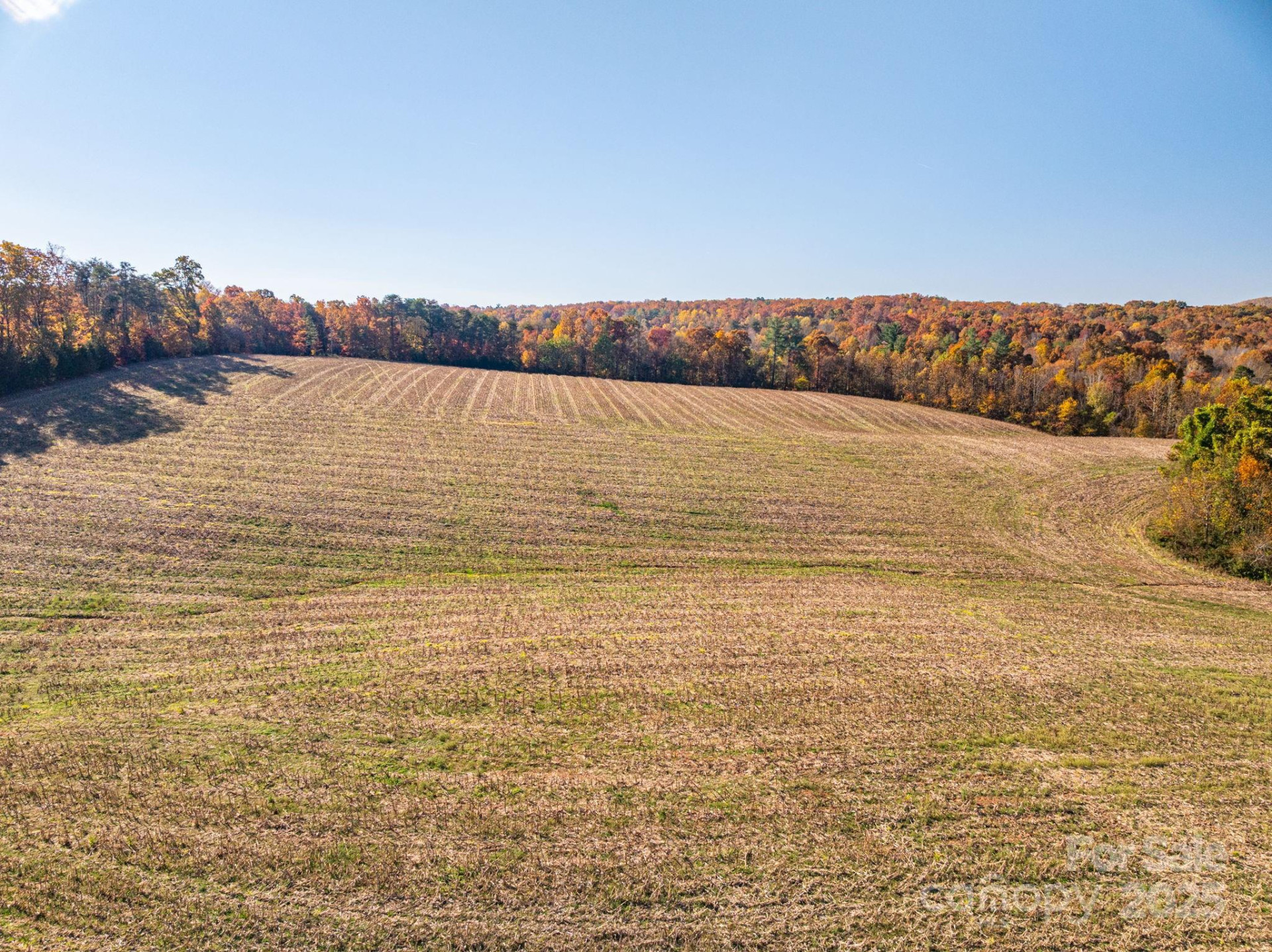 000 NC Highway 18 None - Photo 15