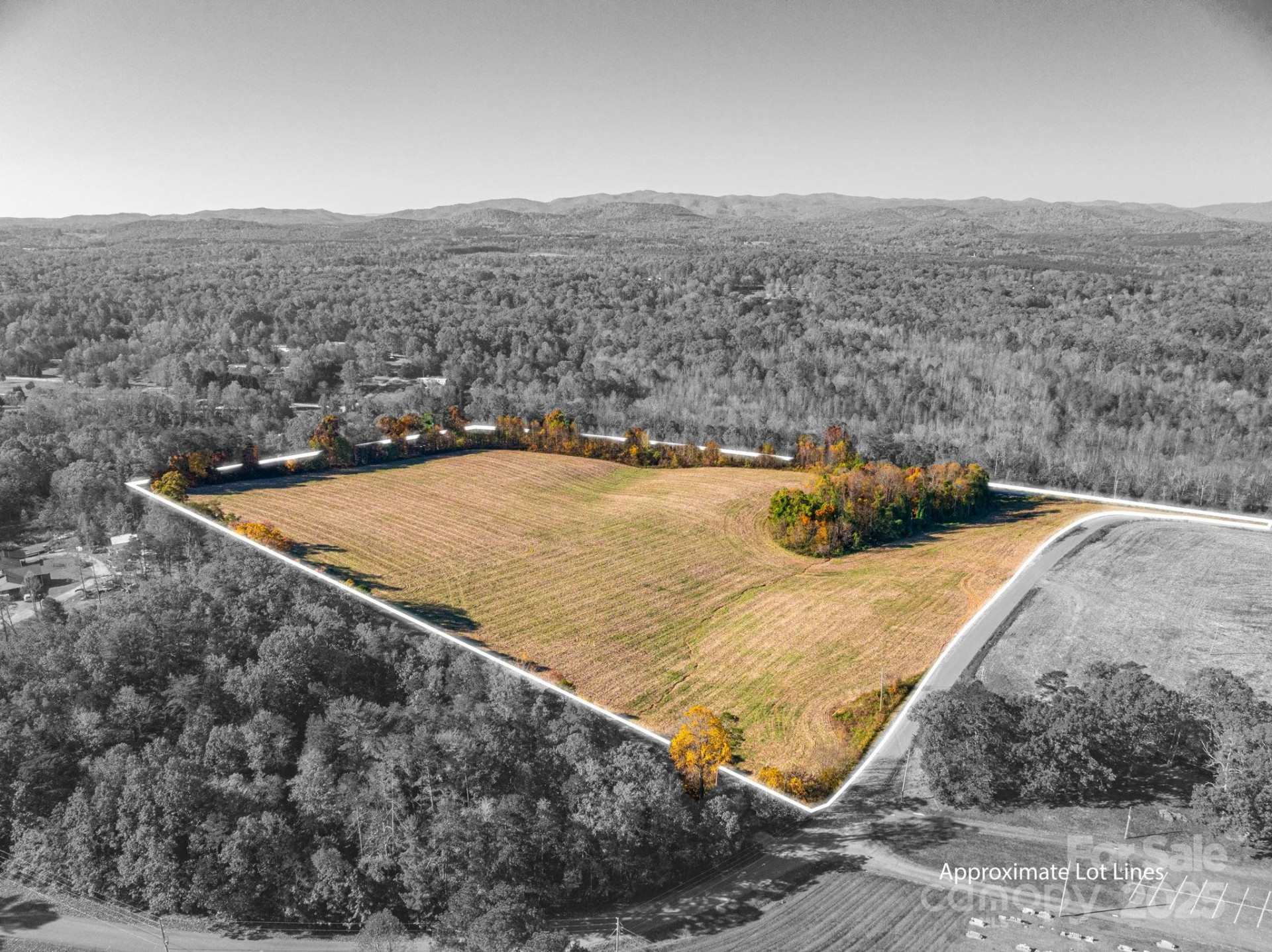 000 NC Highway 18 None - Photo 3