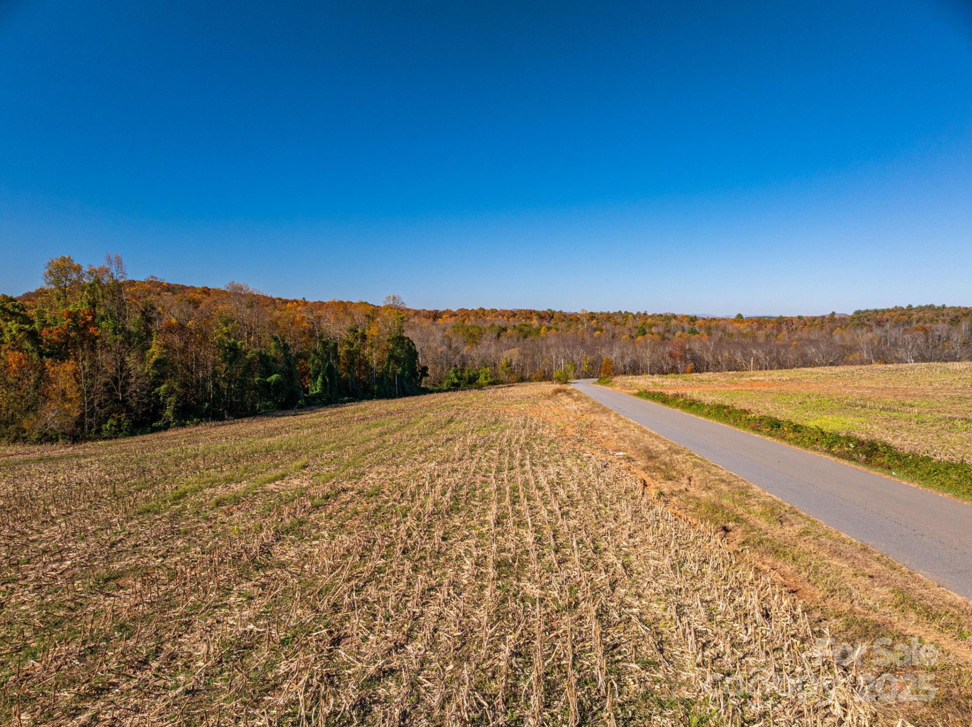 000 NC Highway 18 None - Photo 6