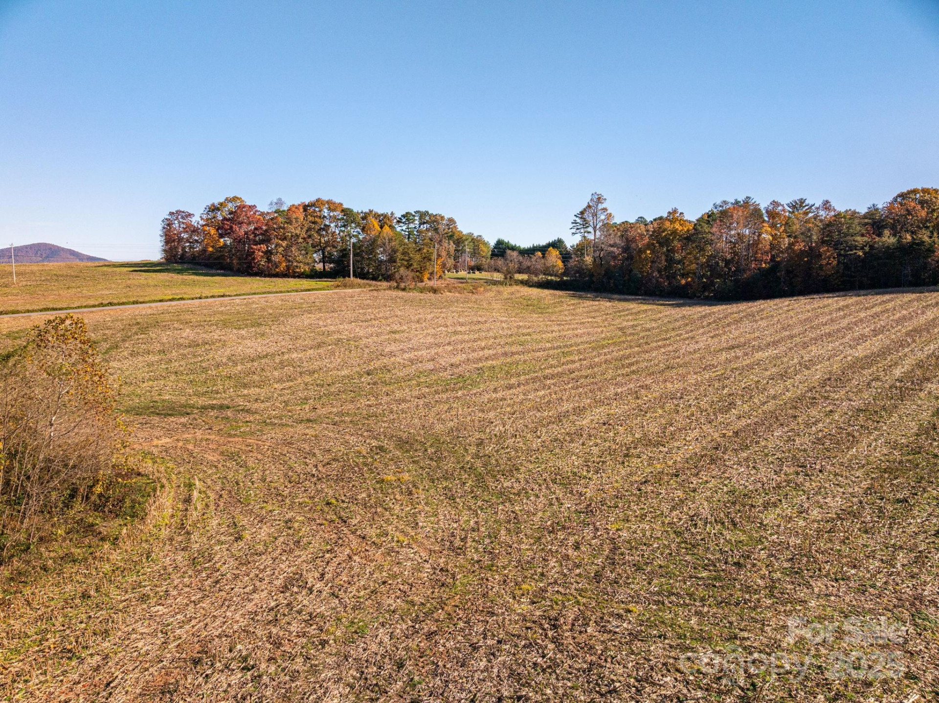 000 NC Highway 18 None - Photo 7