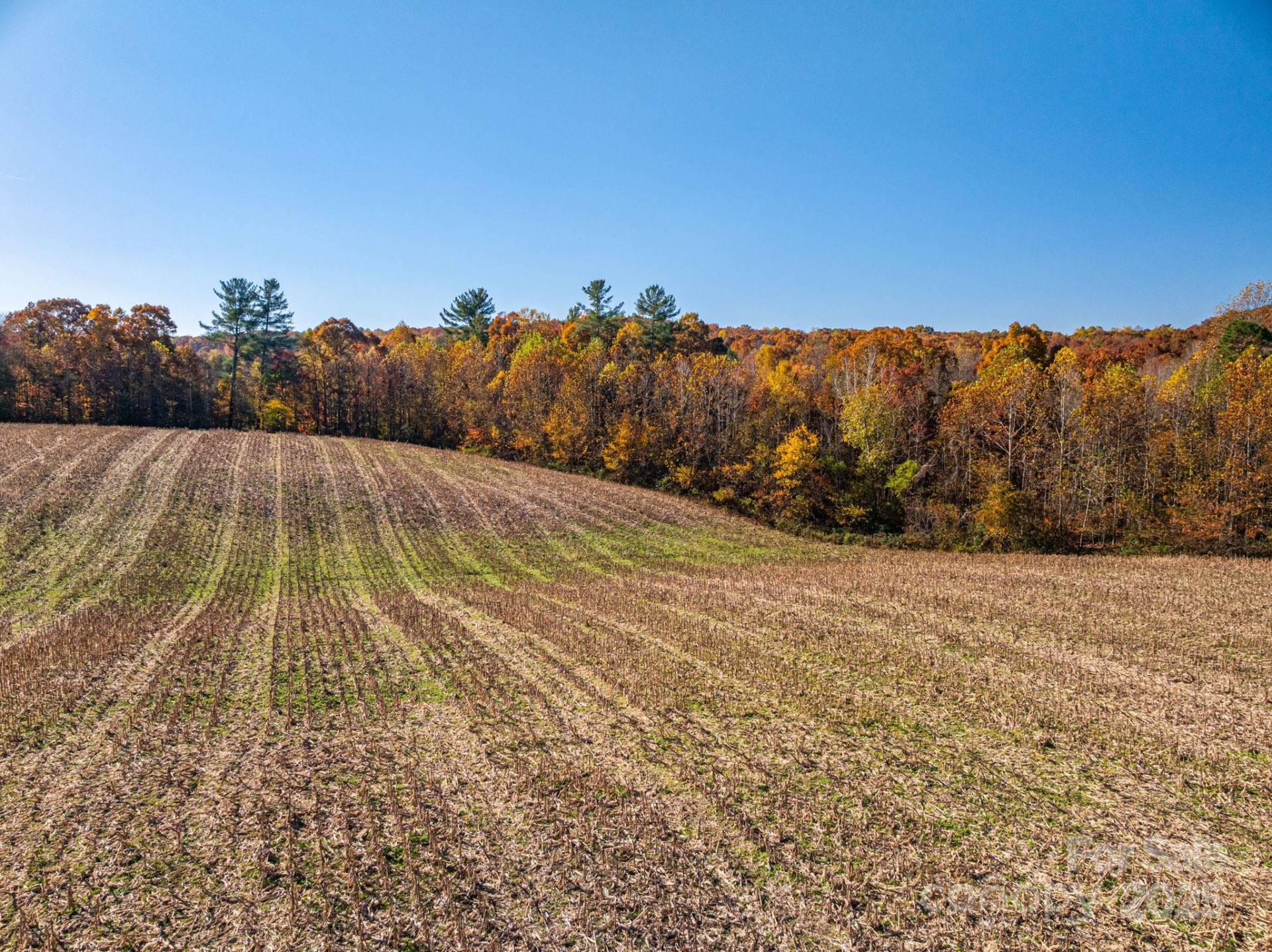 000 NC Highway 18 None - Photo 8