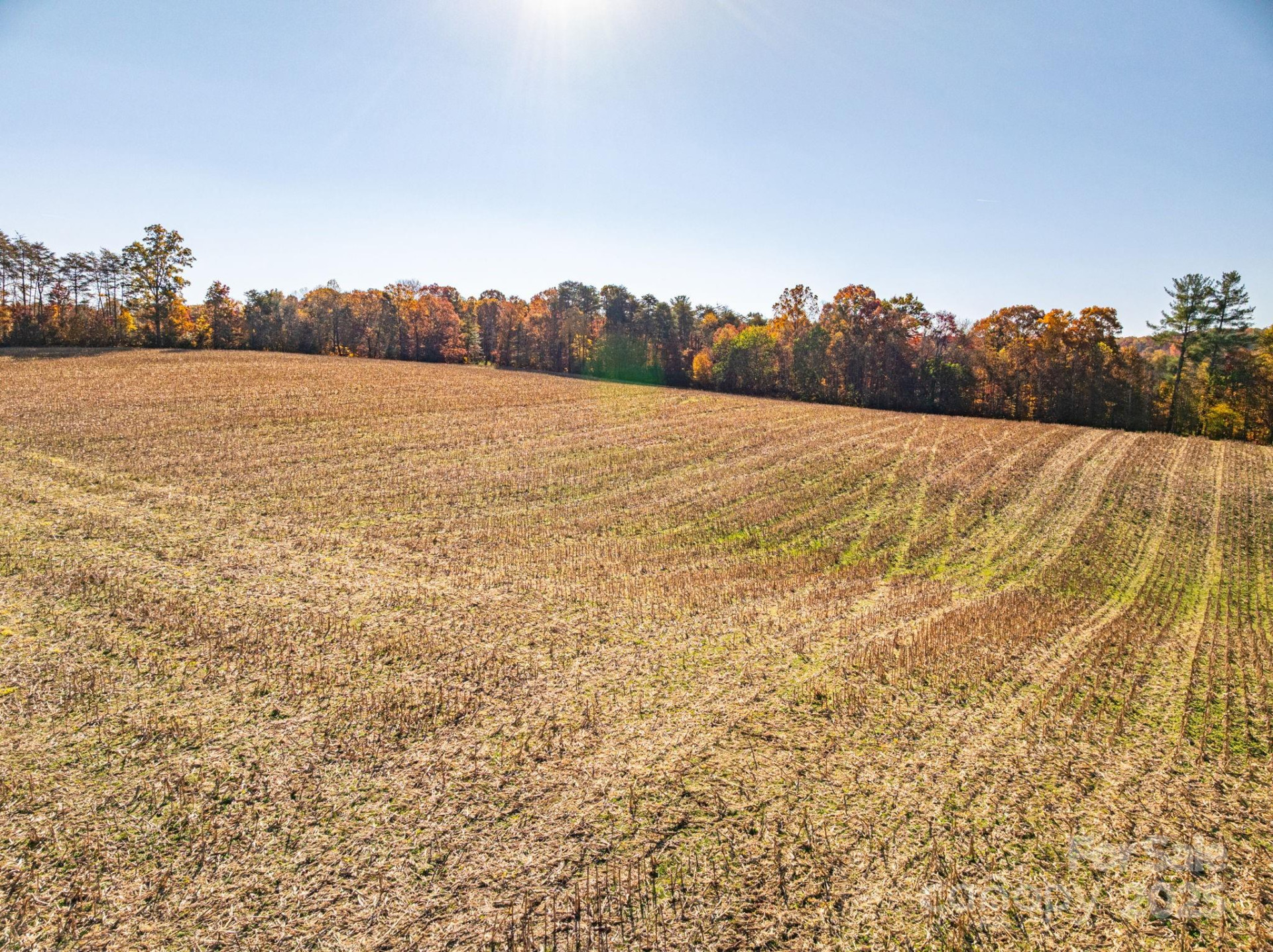 000 NC Highway 18 None - Photo 9