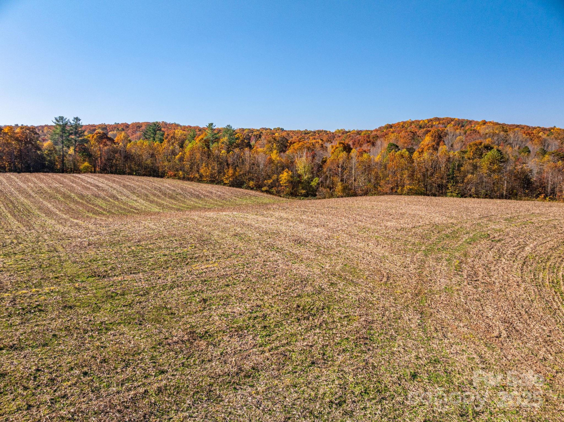 000 NC Highway 18 None - Photo 10