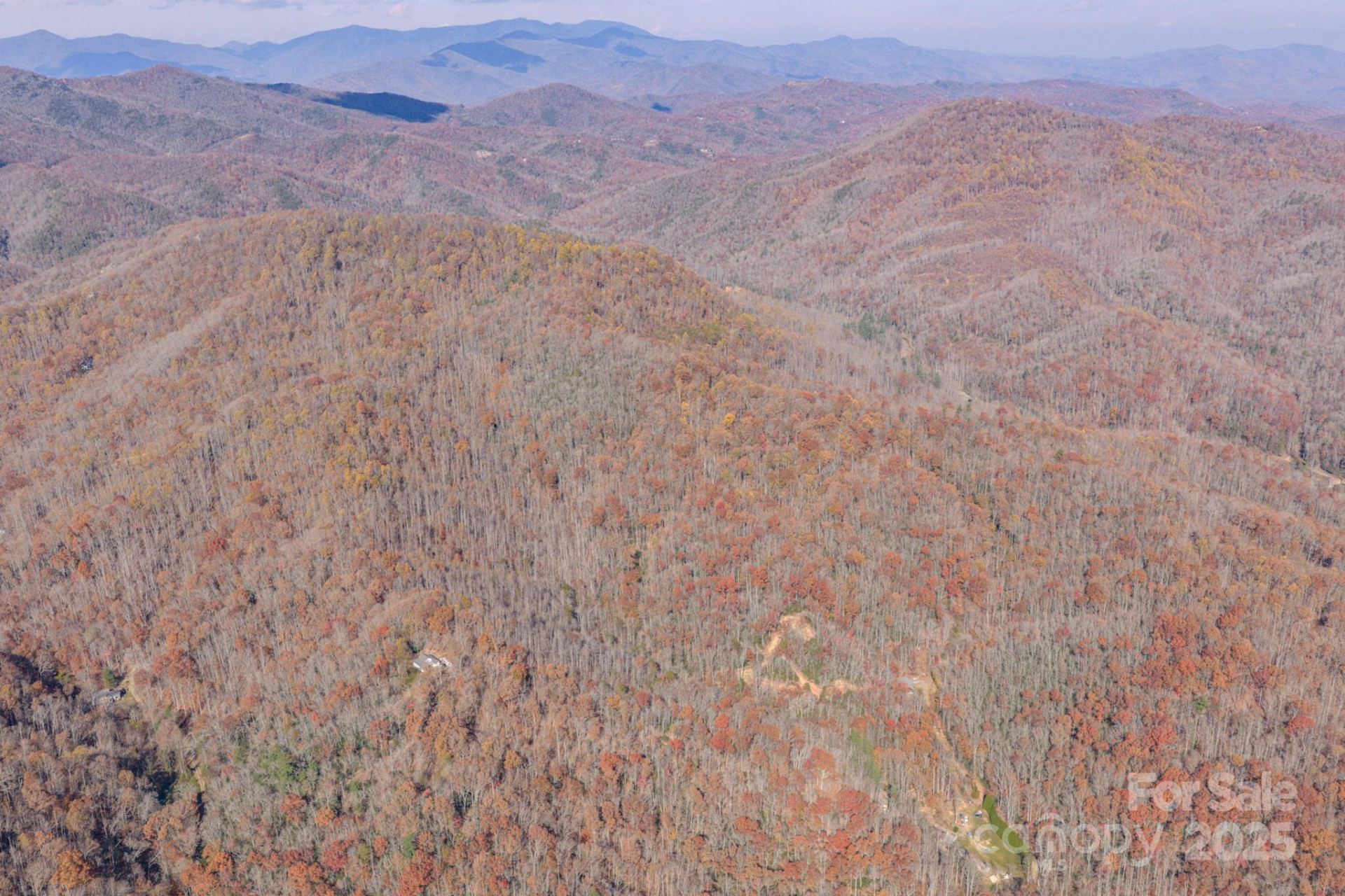 44 Alfalfa Trail - Photo 11