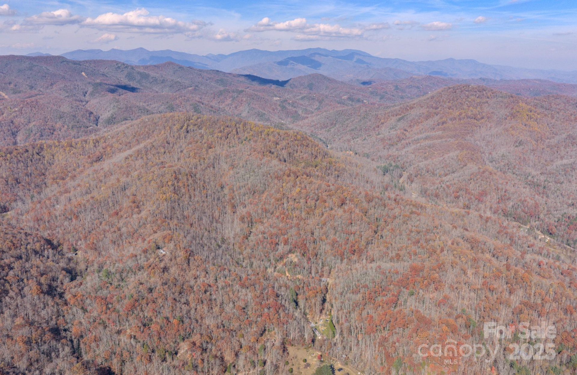 44 Alfalfa Trail - Photo 12