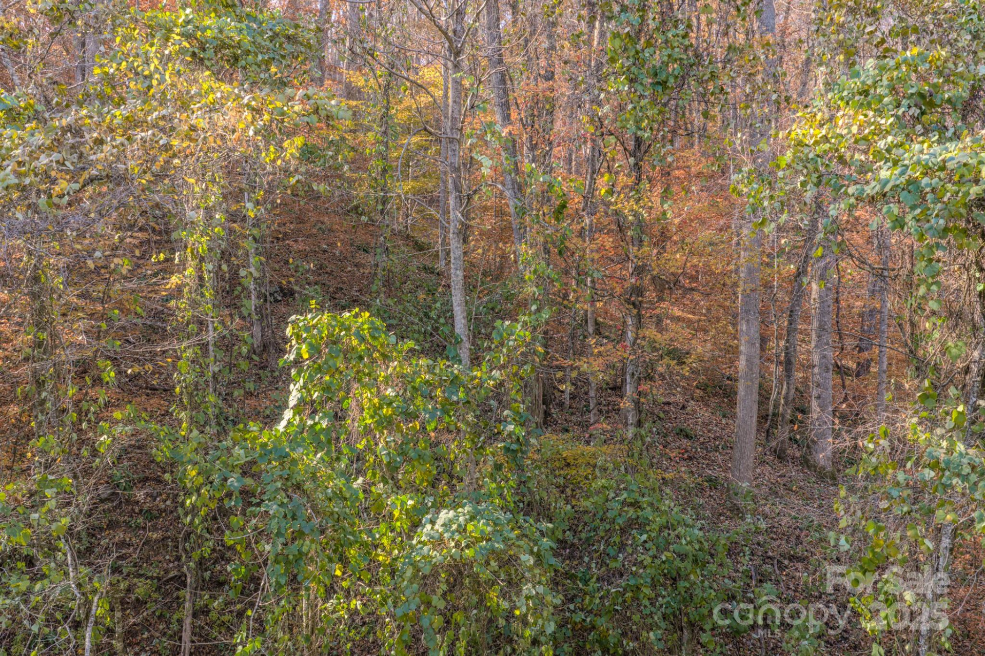 44 Alfalfa Trail - Photo 14