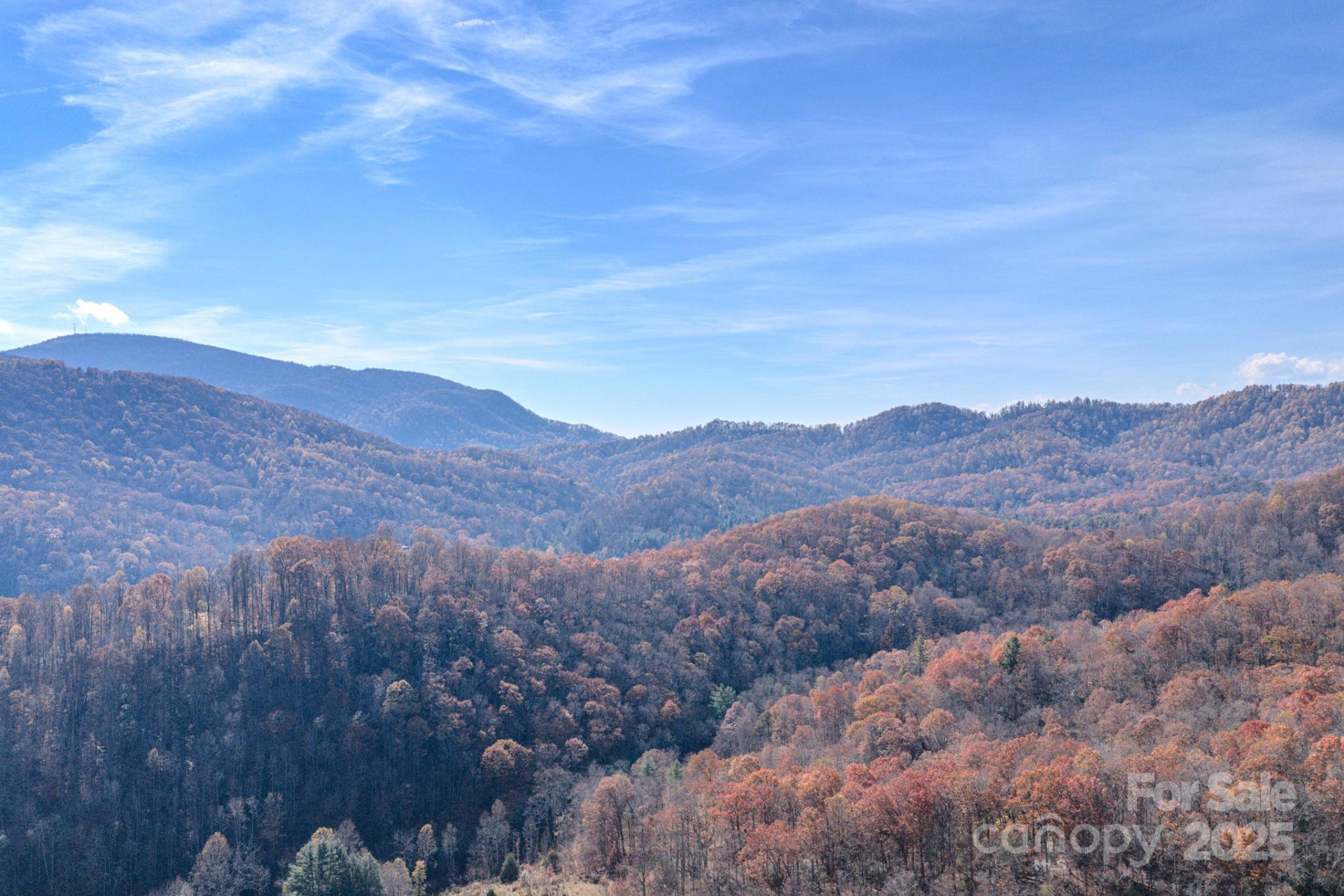 44 Alfalfa Trail - Photo 15