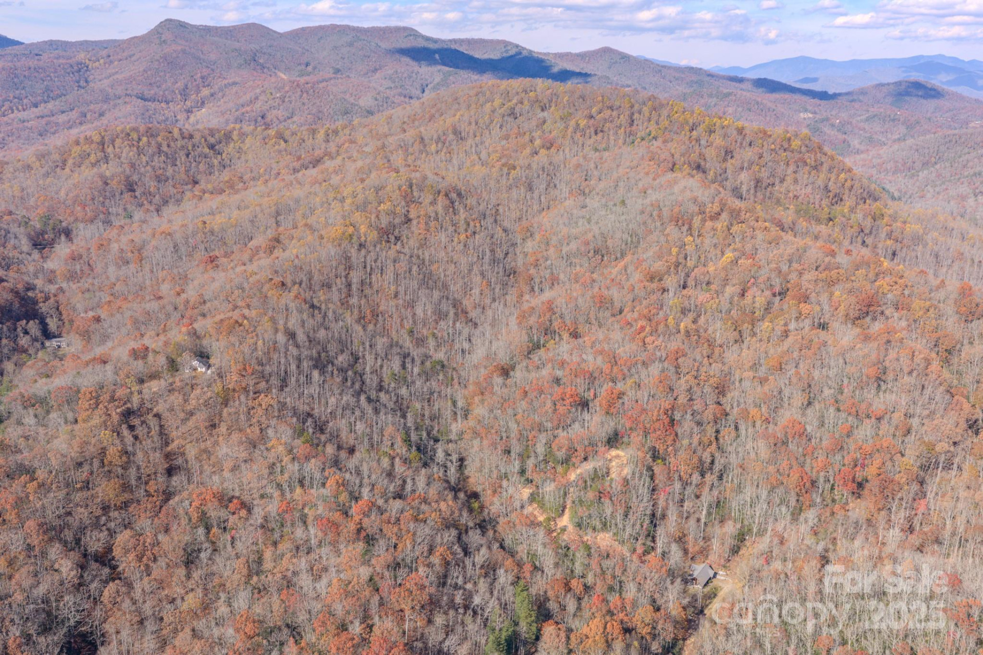 44 Alfalfa Trail - Photo 16