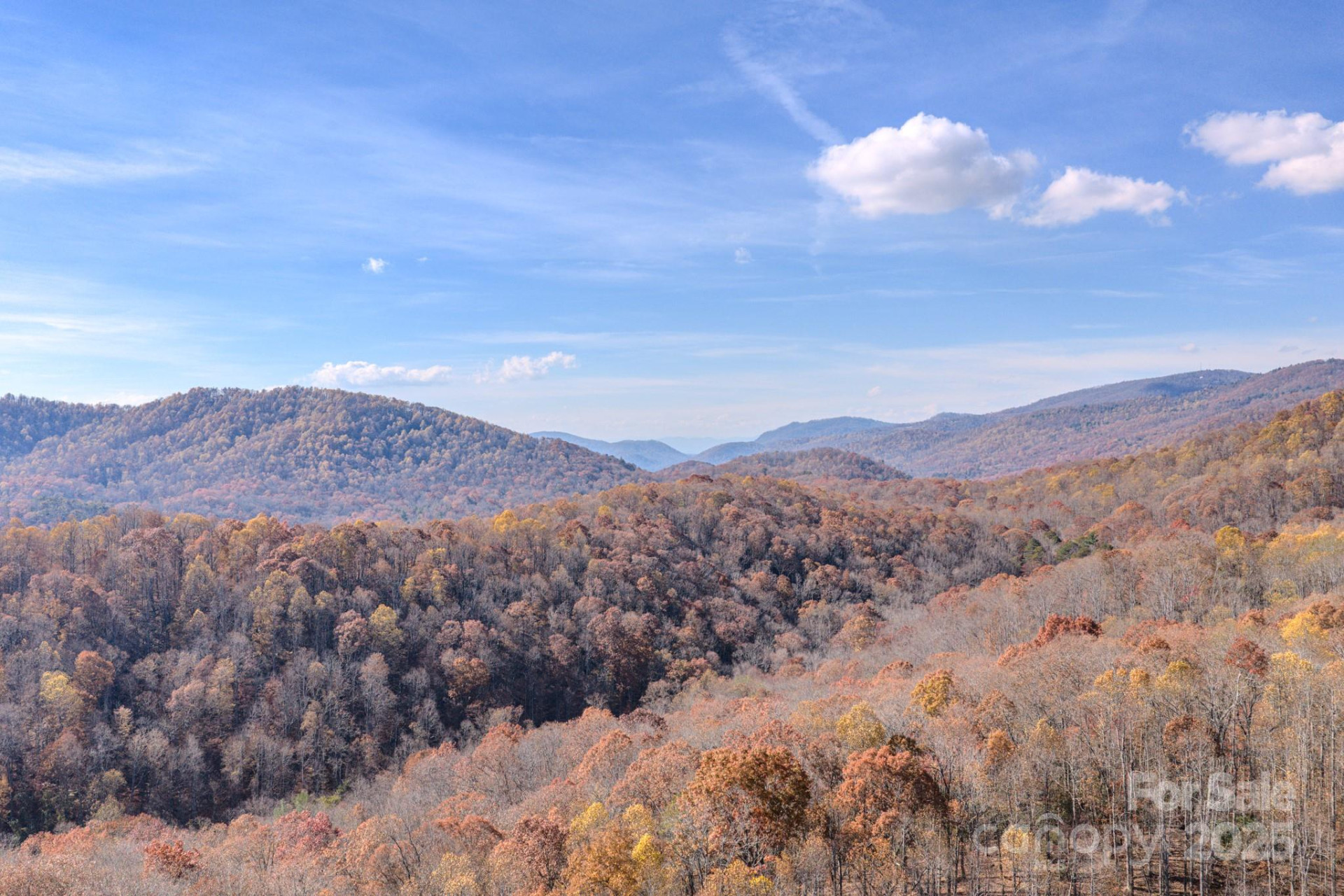 44 Alfalfa Trail - Photo 17