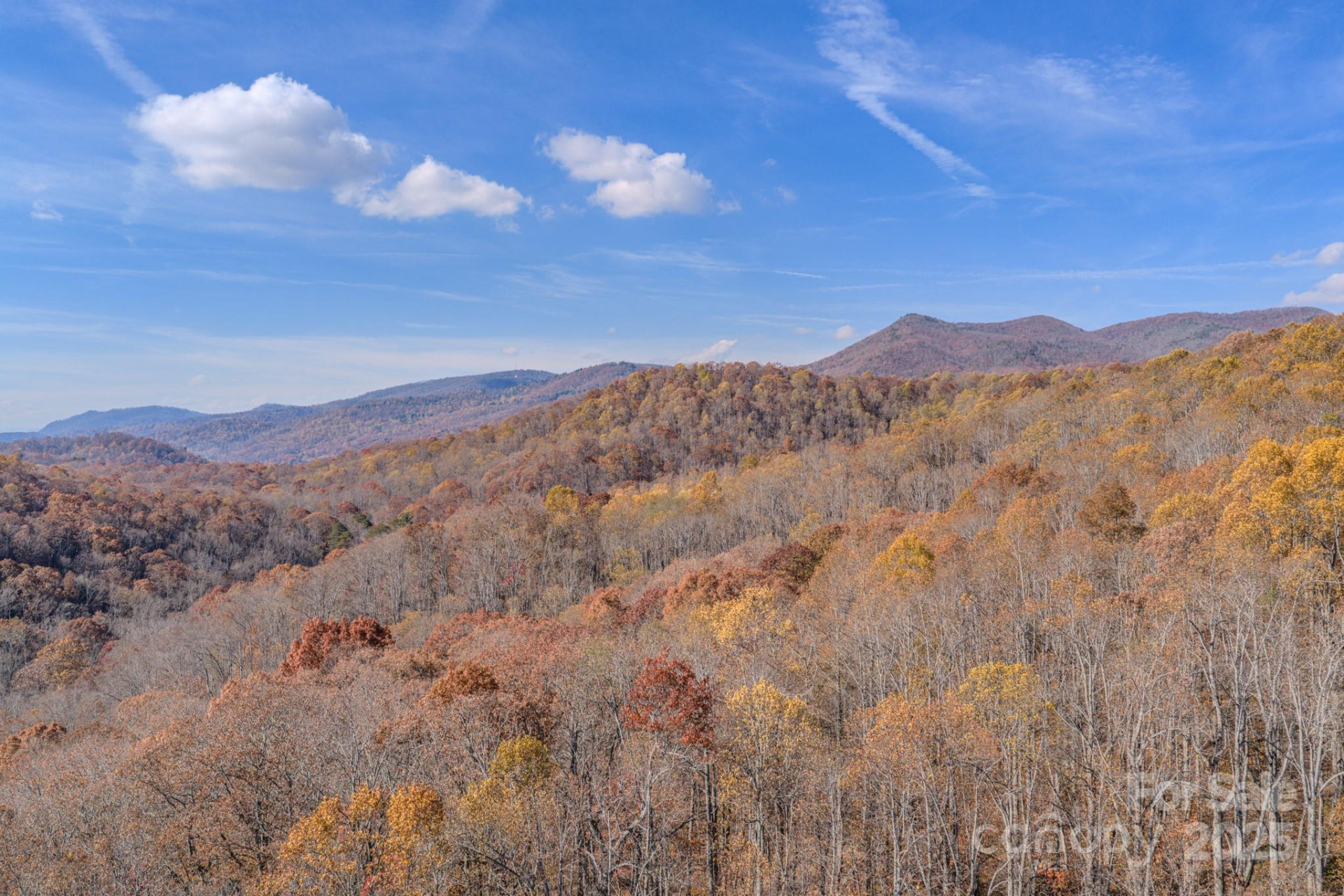 44 Alfalfa Trail - Photo 18