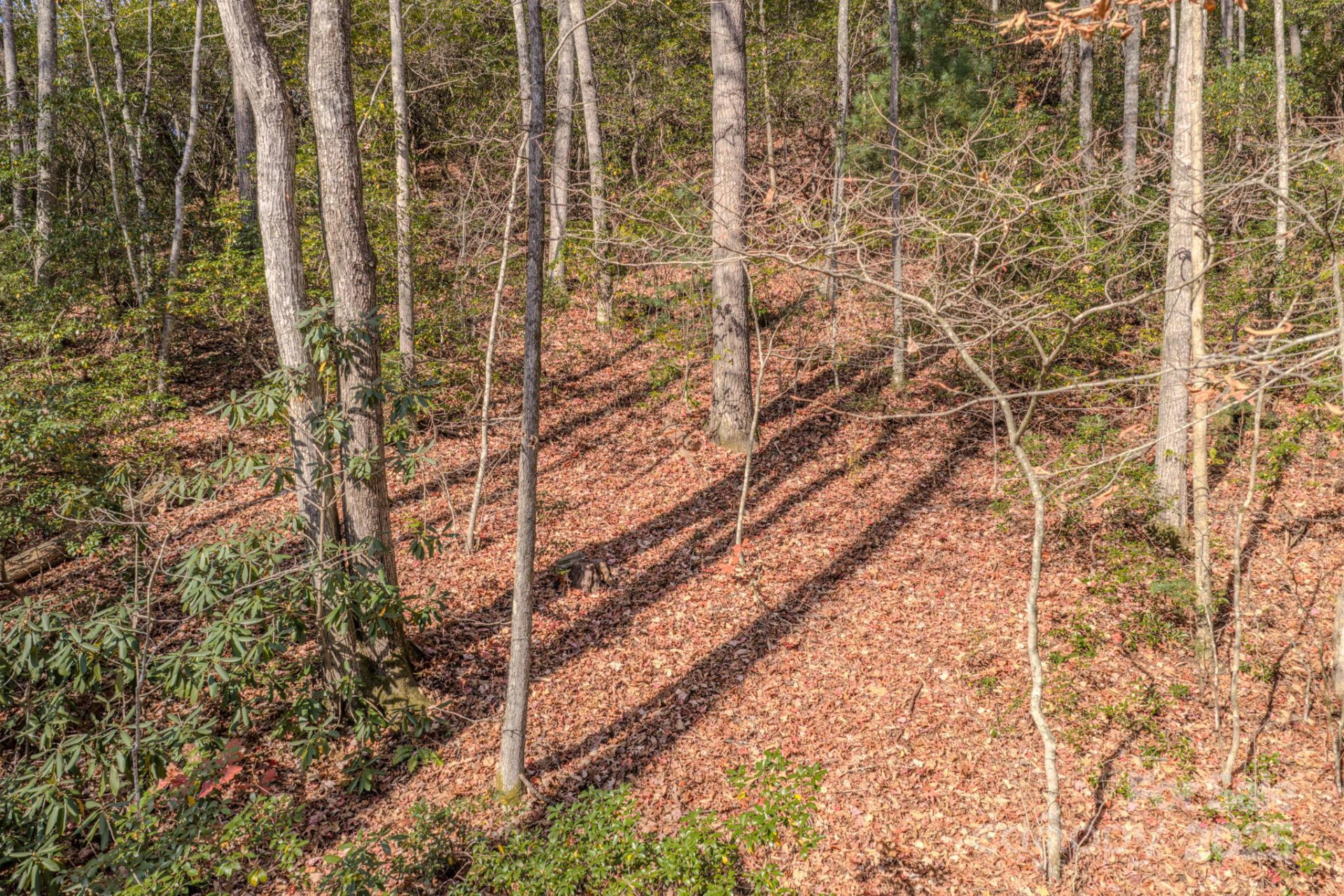 44 Alfalfa Trail - Photo 3