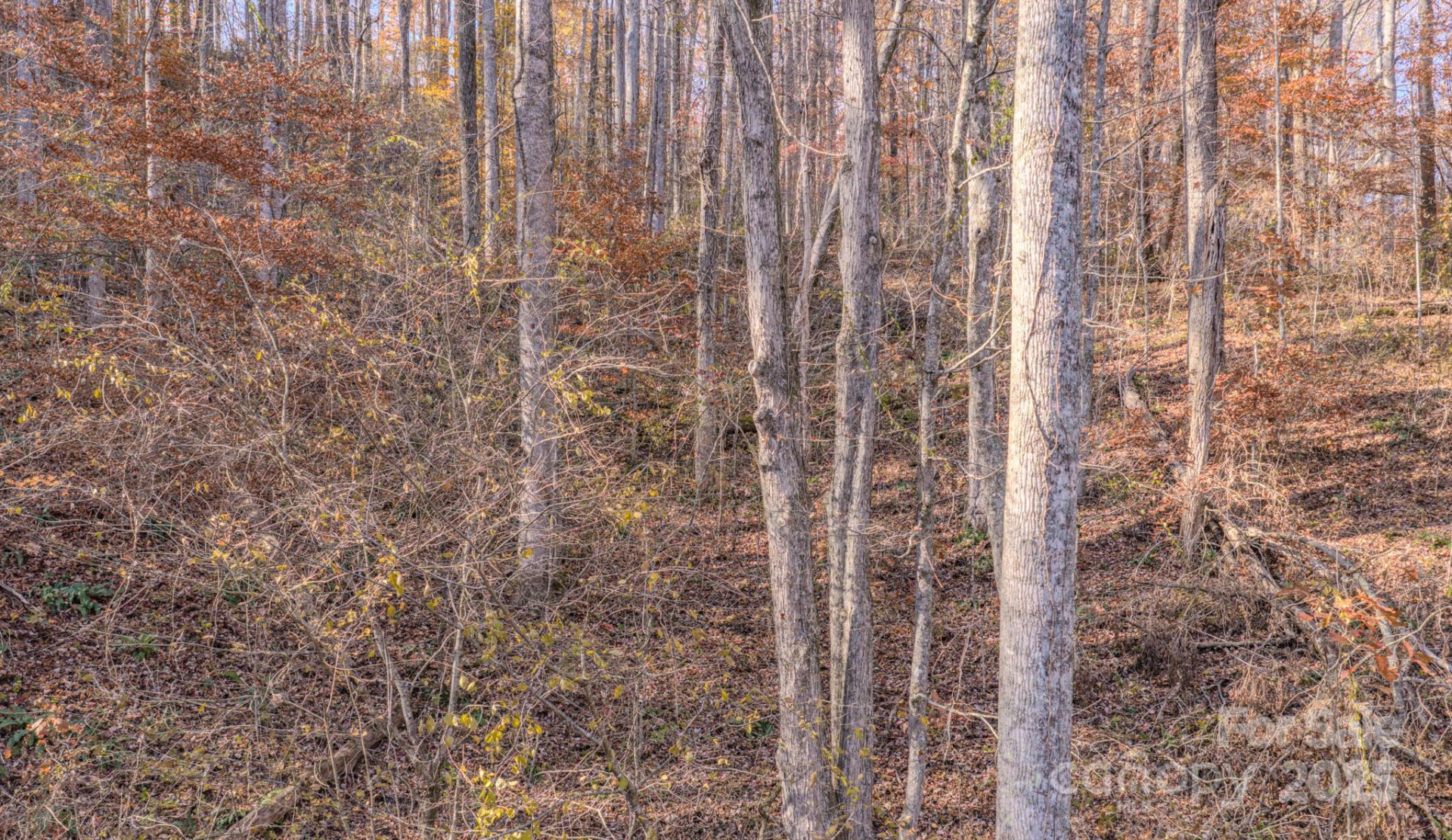 44 Alfalfa Trail - Photo 4