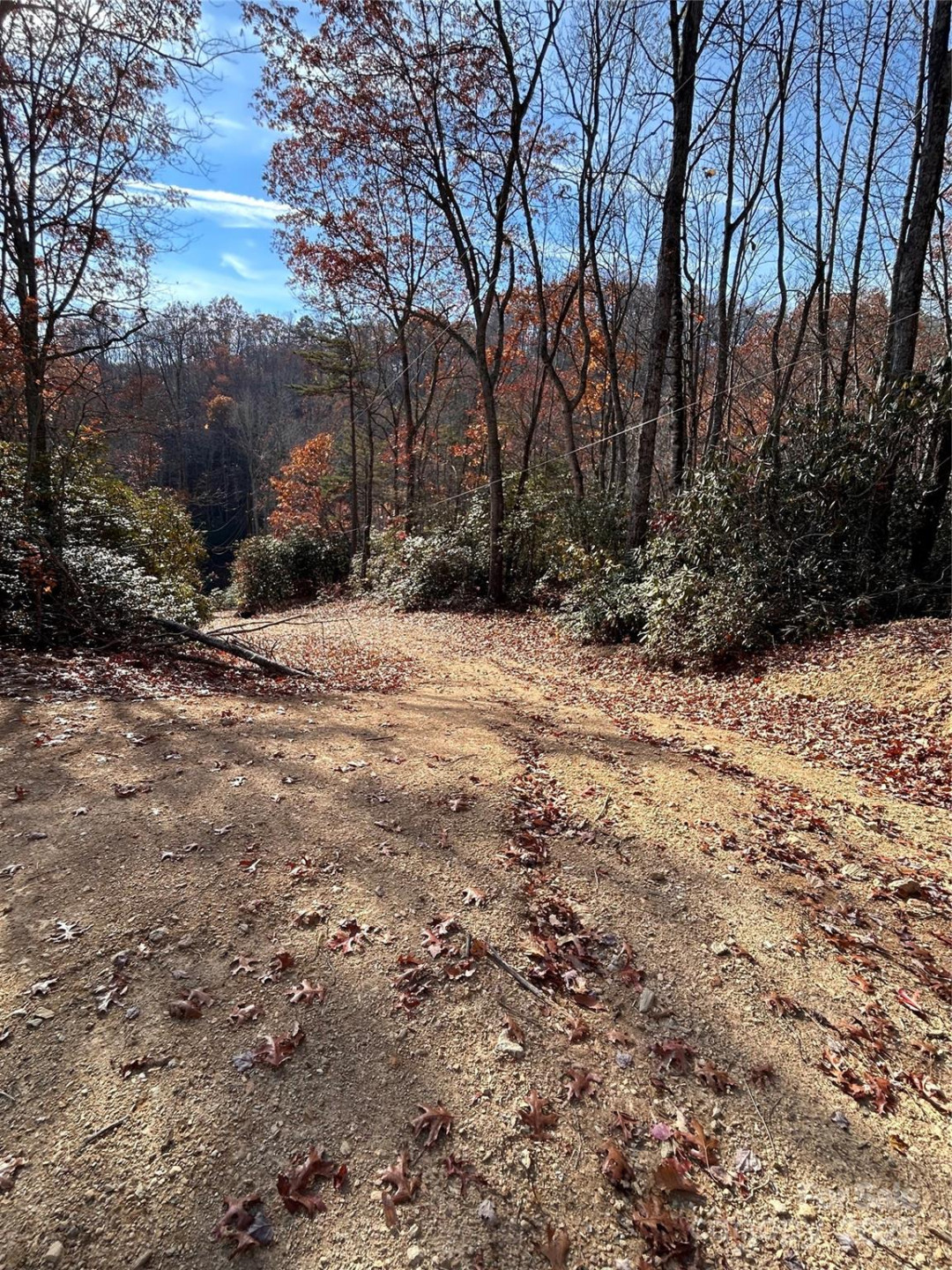 44 Alfalfa Trail - Photo 5