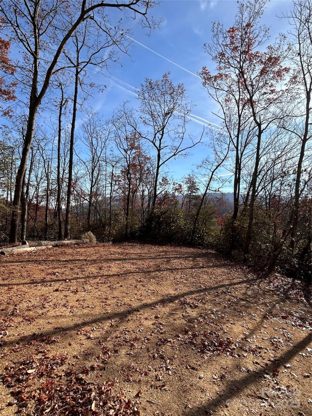 44 Alfalfa Trail - Photo 6