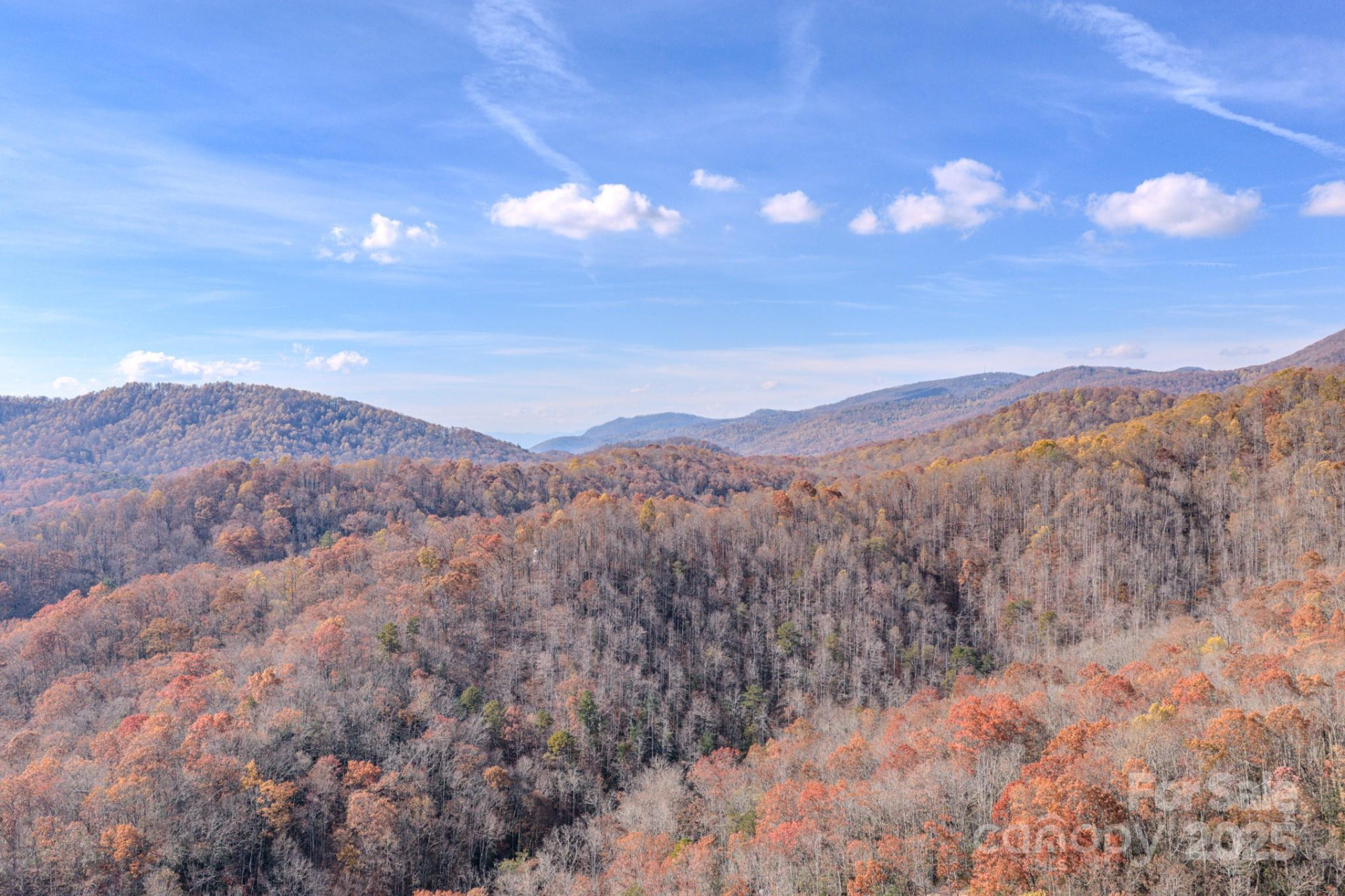 44 Alfalfa Trail - Photo 7