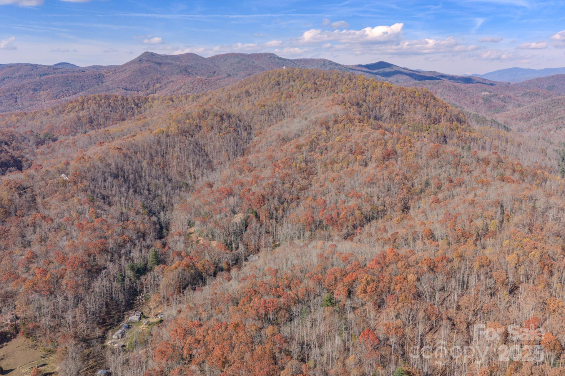 44 Alfalfa Trail - Photo 9