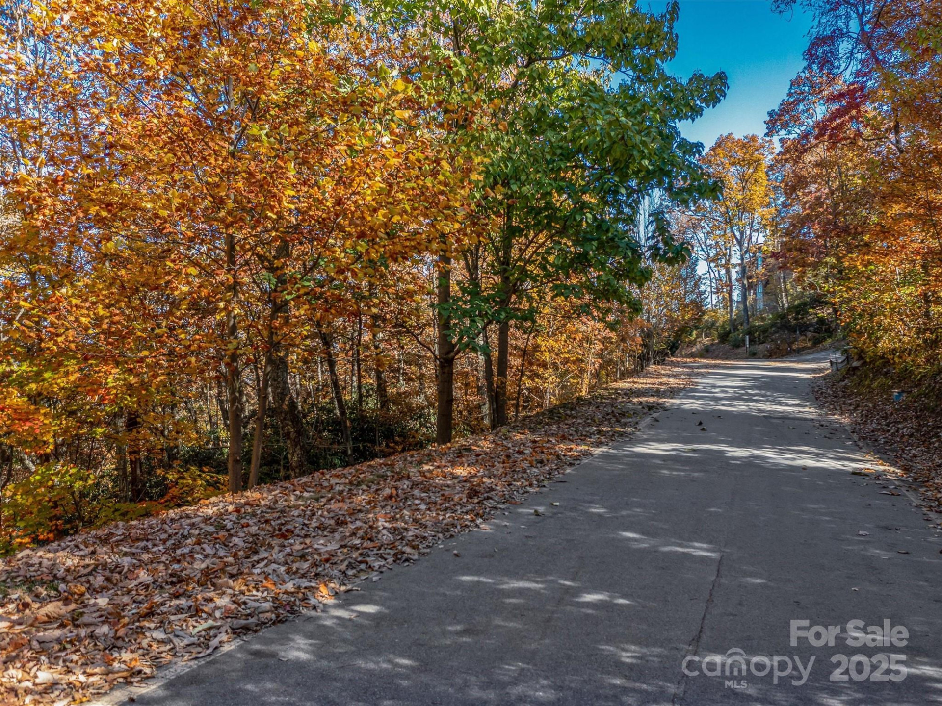 27 Deer Grass Court - Photo 14