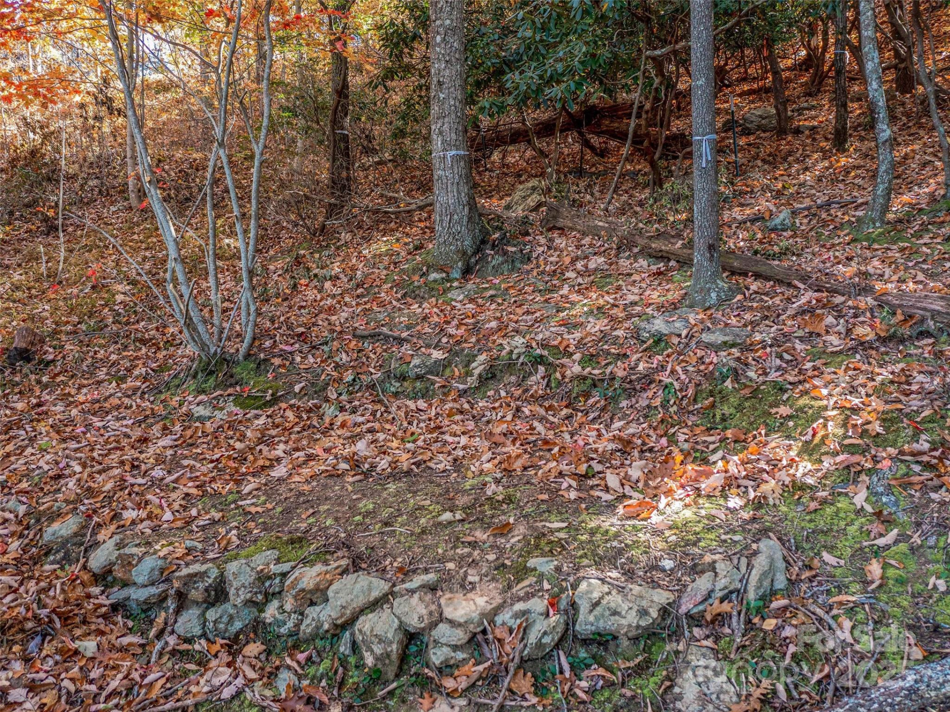 27 Deer Grass Court - Photo 15