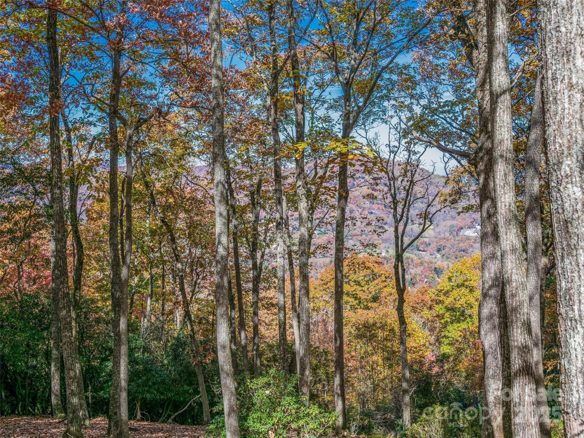 27 Deer Grass Court - Photo 16