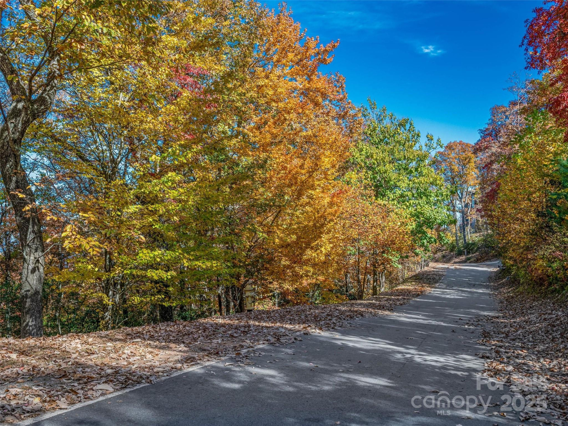 27 Deer Grass Court - Photo 17