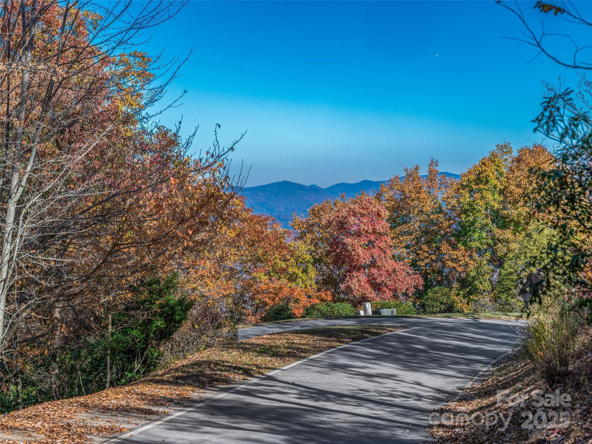 27 Deer Grass Court - Photo 18