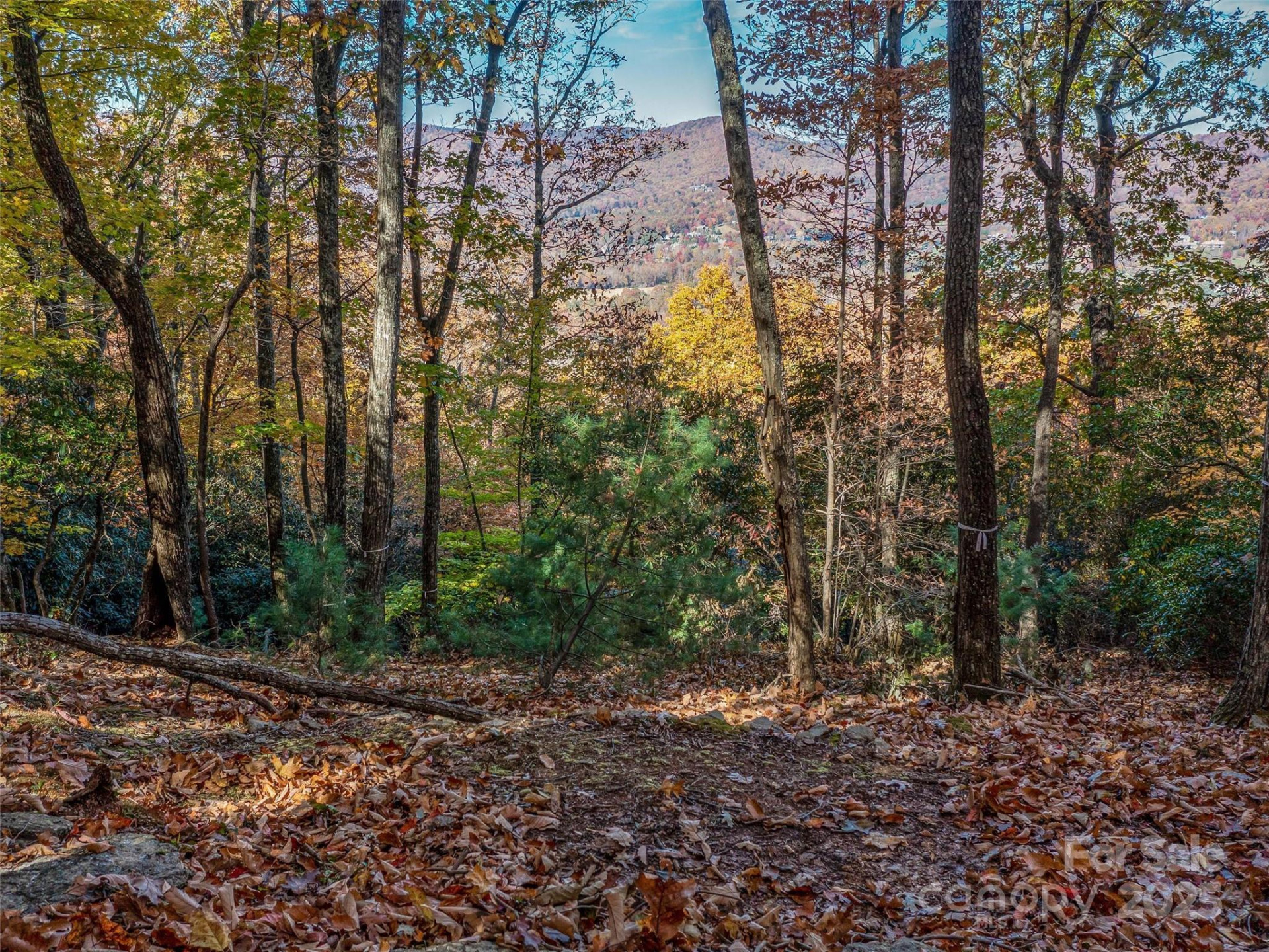 27 Deer Grass Court - Photo 23