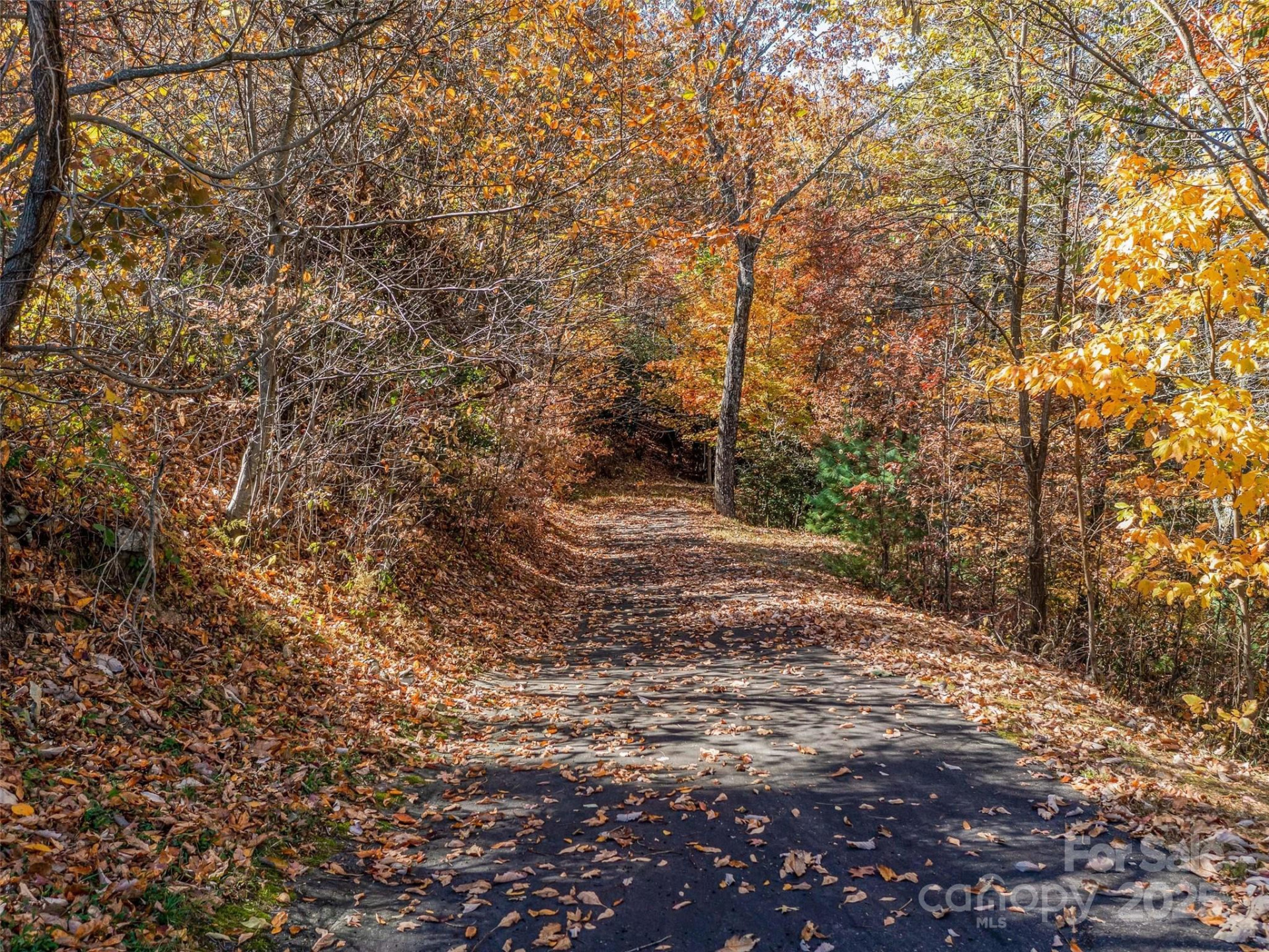 27 Deer Grass Court - Photo 25