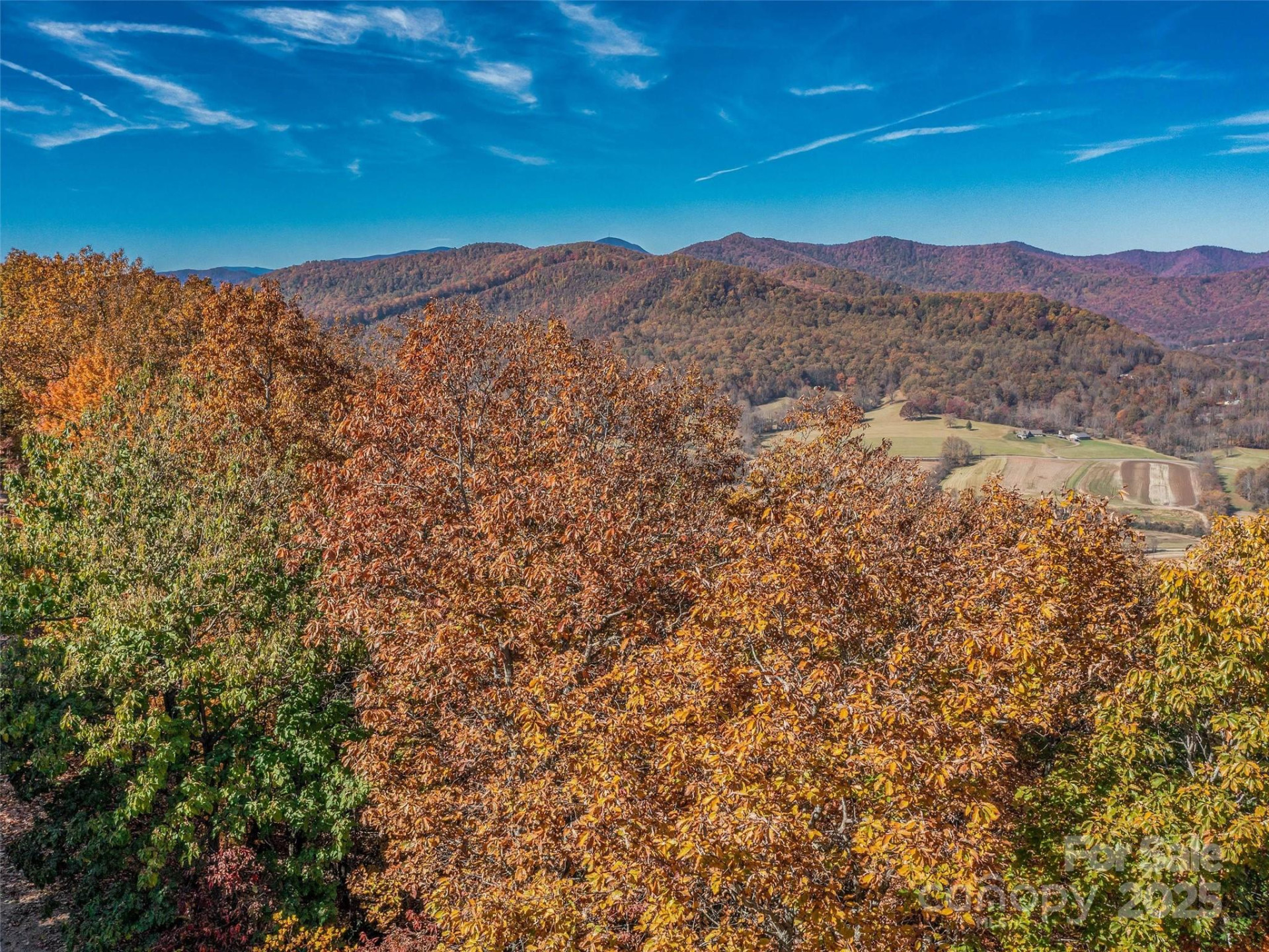 27 Deer Grass Court - Photo 26