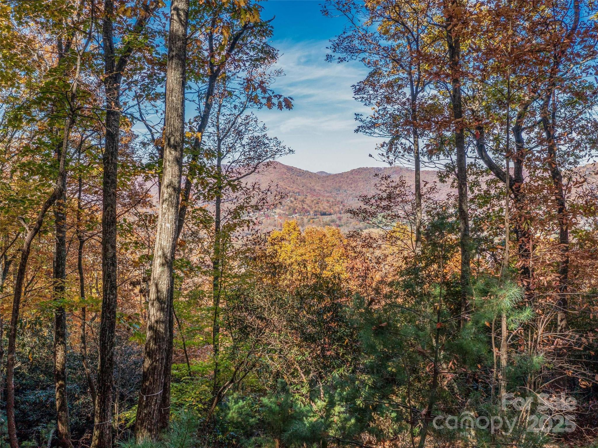 27 Deer Grass Court - Photo 31