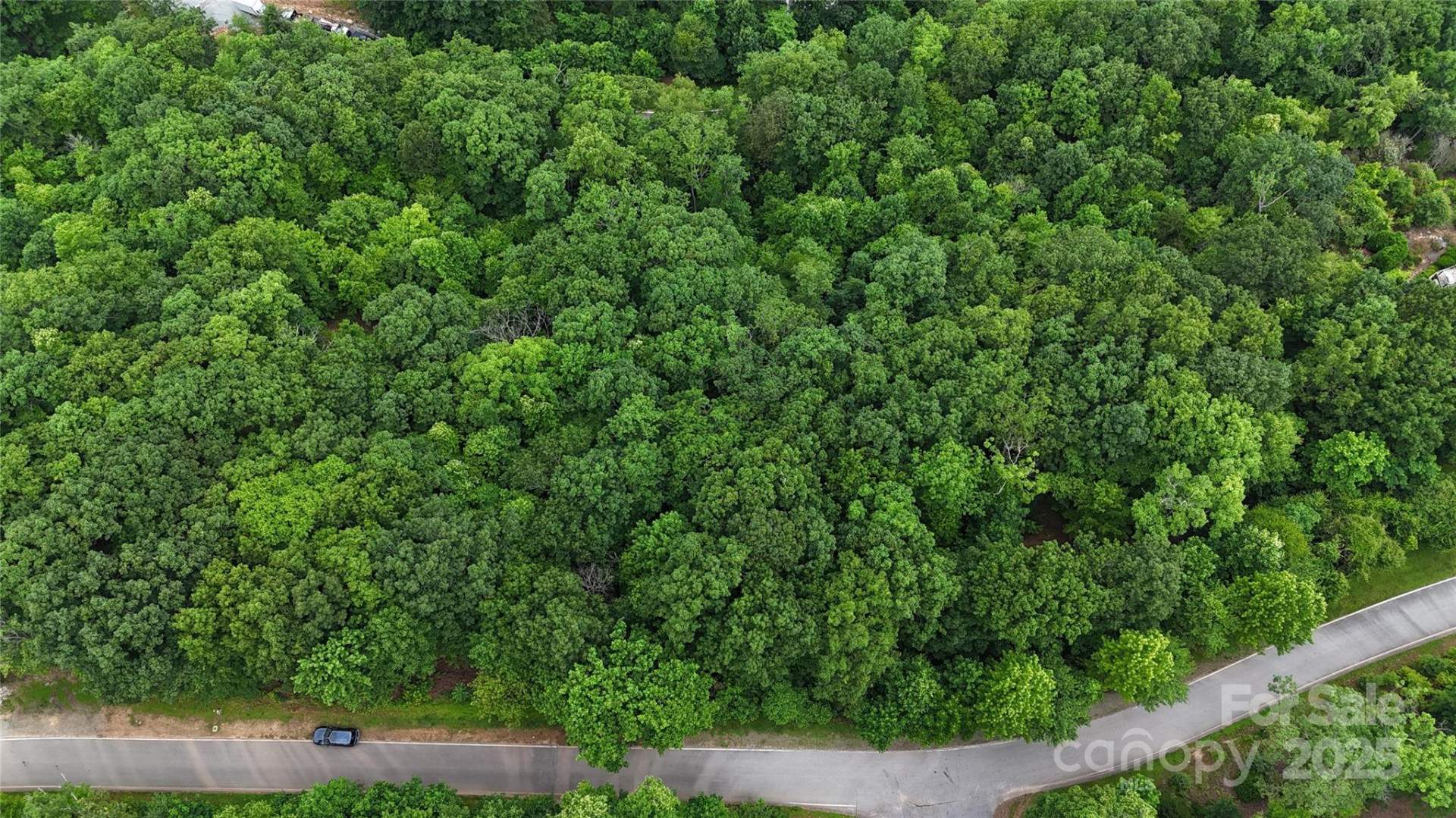 27 Deer Grass Court - Photo 6