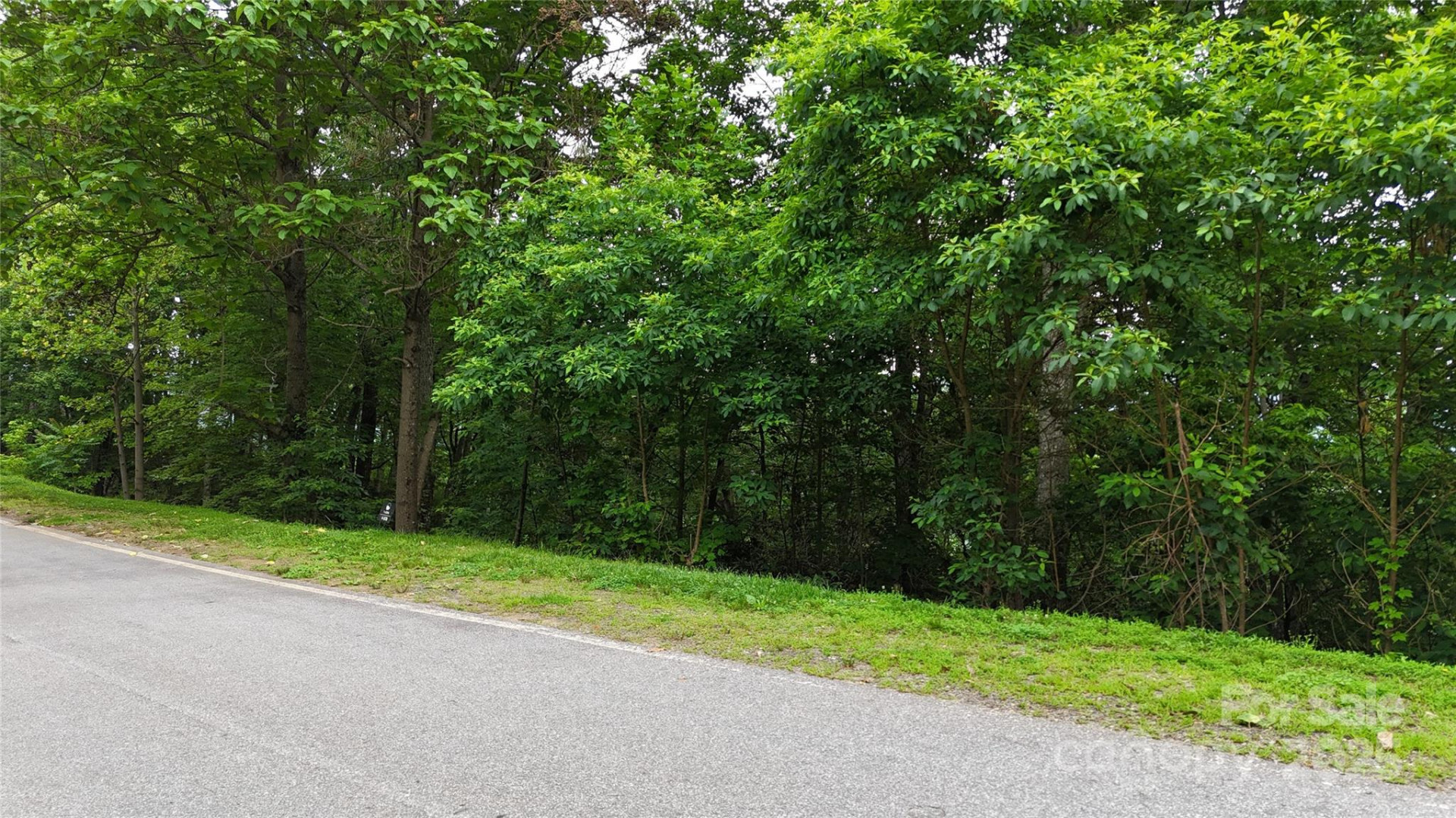 27 Deer Grass Court - Photo 9