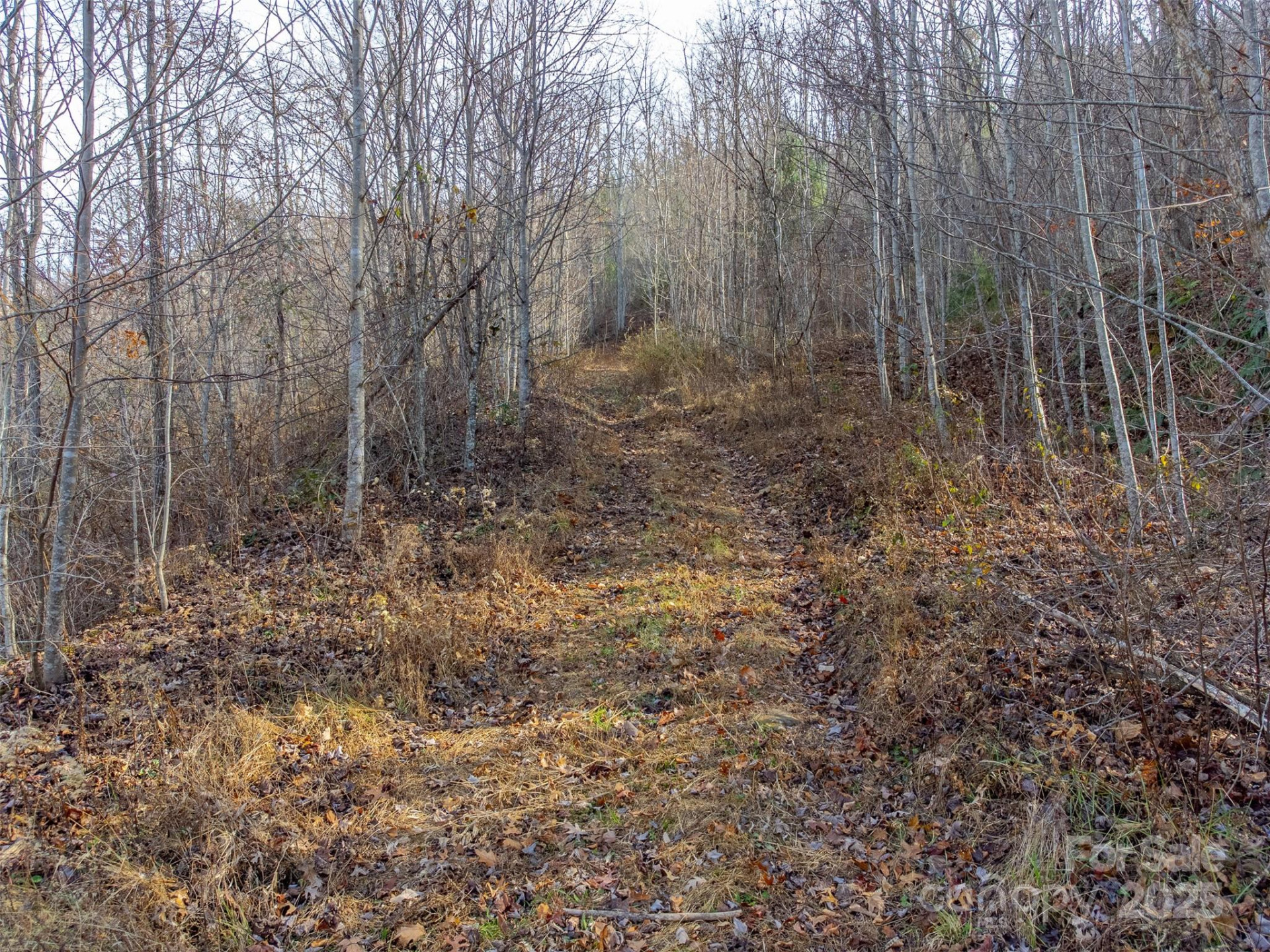 00 Garnet Road - Photo 13