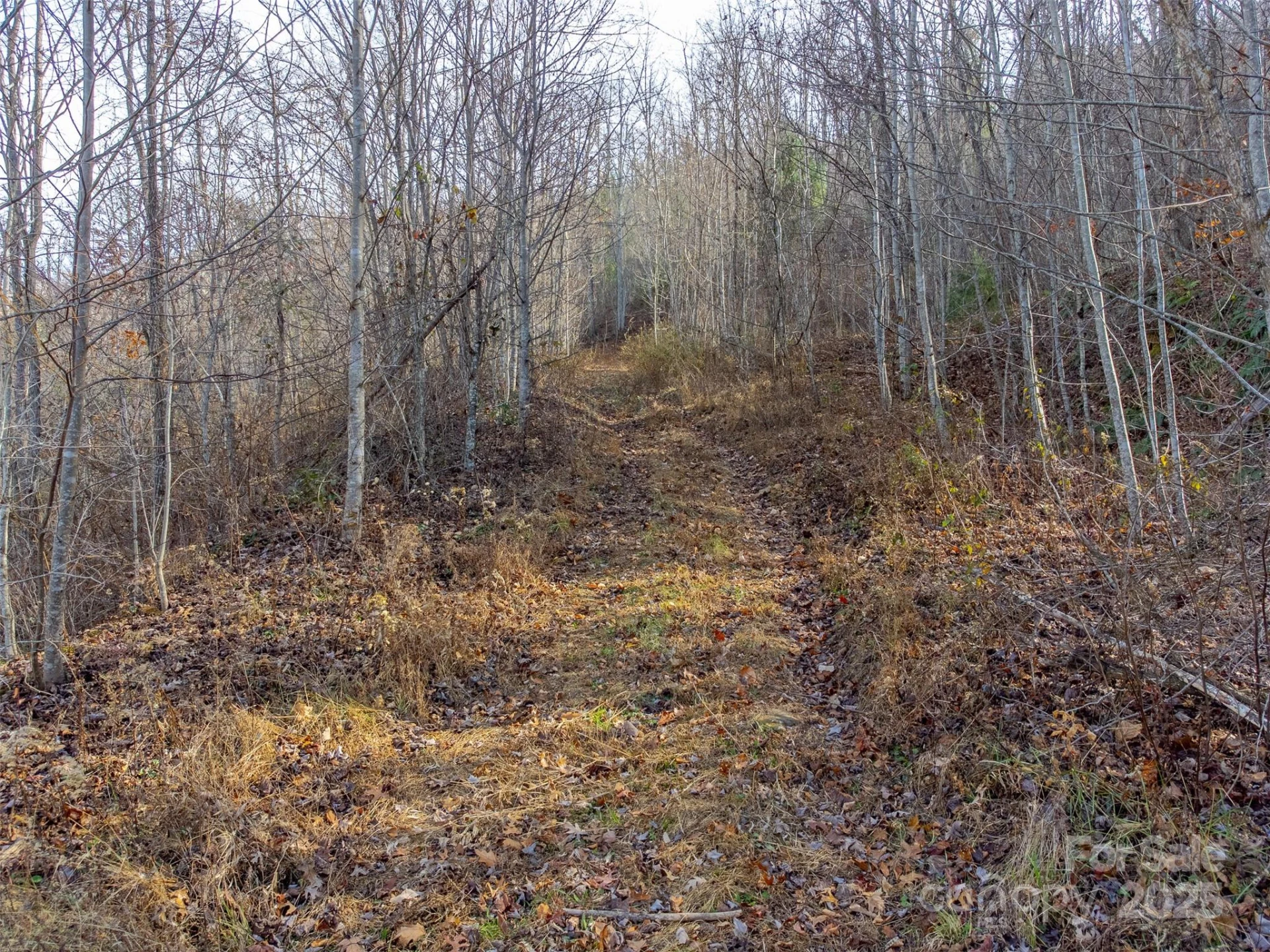 00 Garnet Road - Photo 13